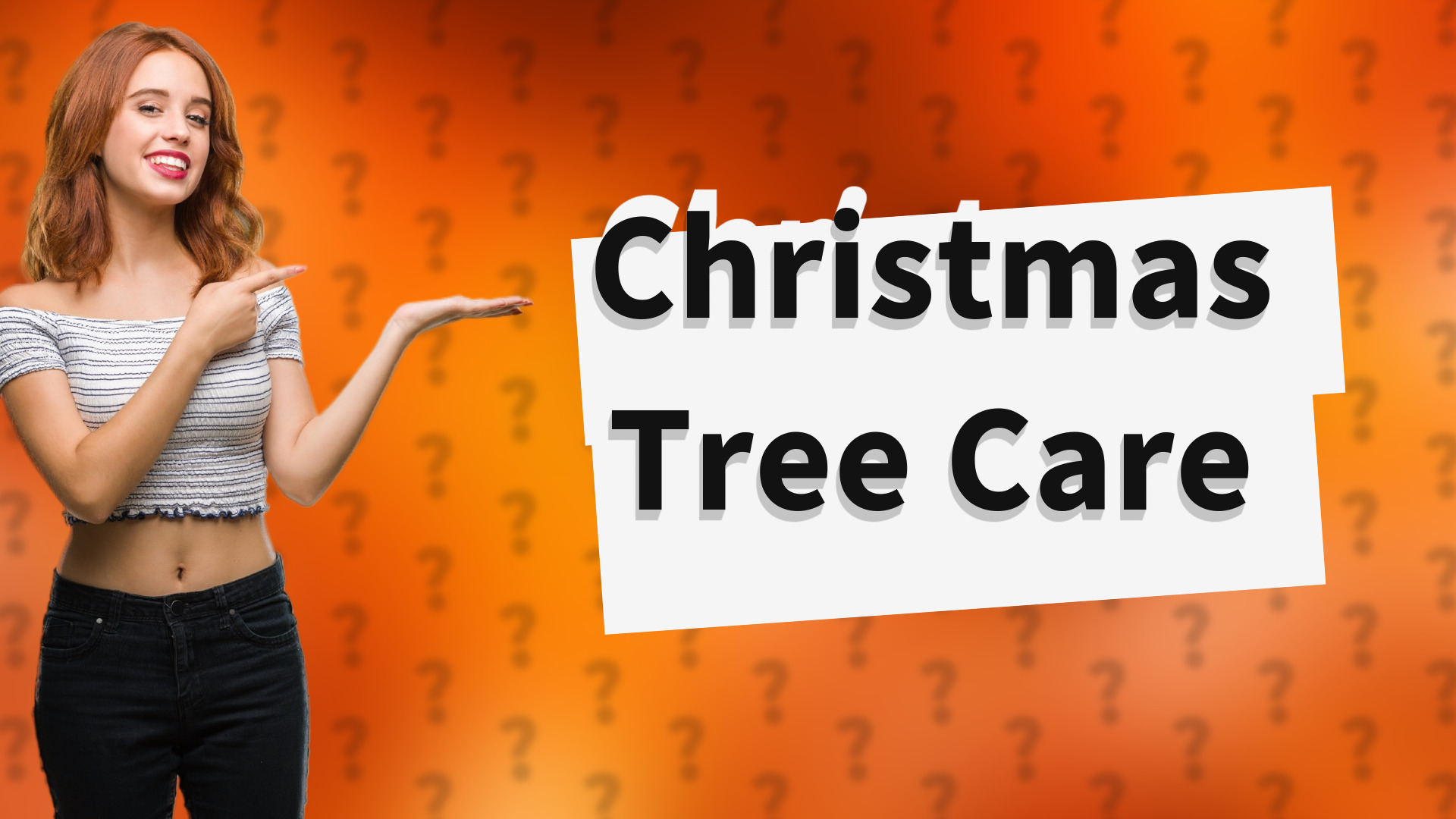 Christmas Tree Care