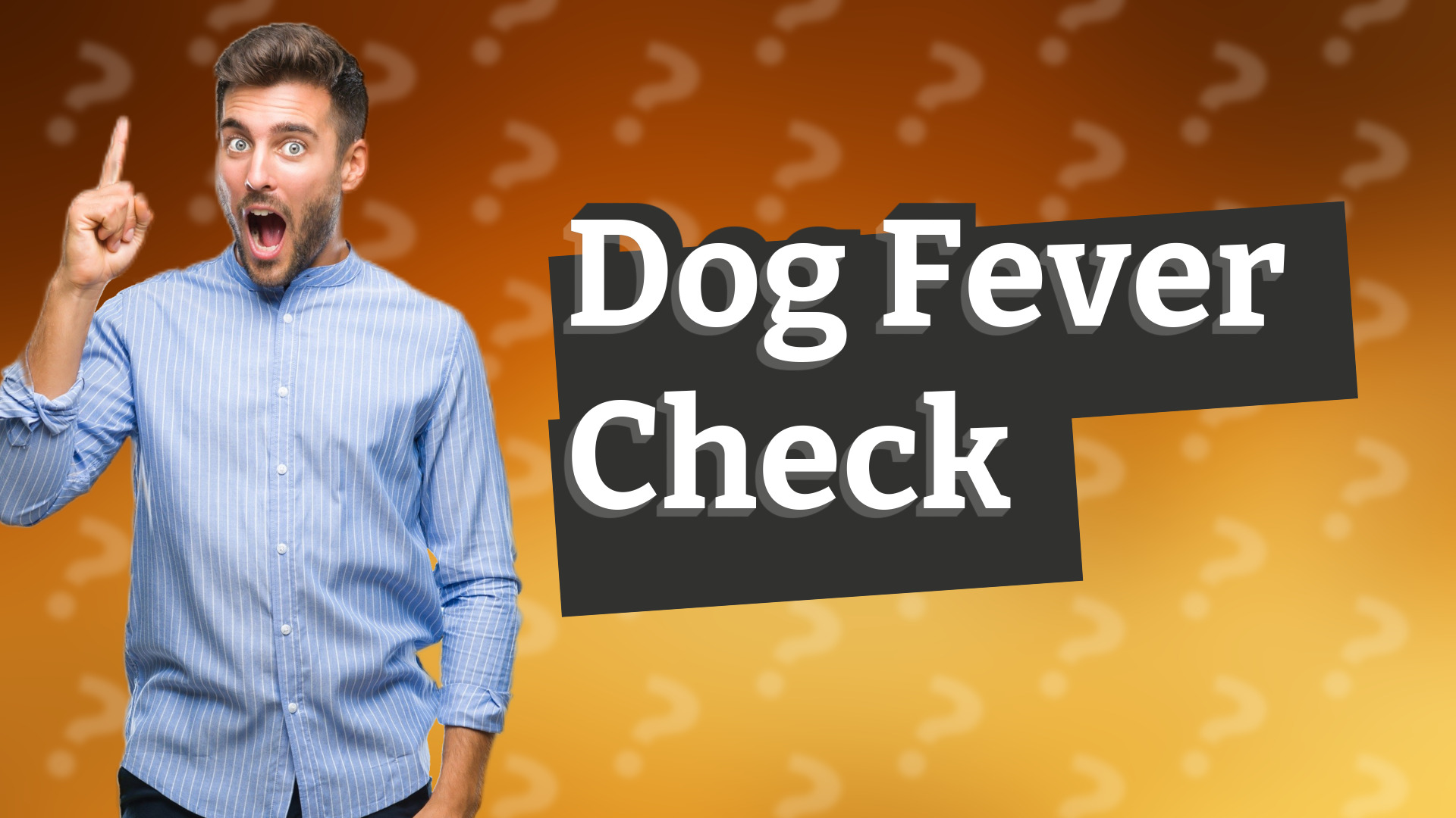 Dog Fever Check