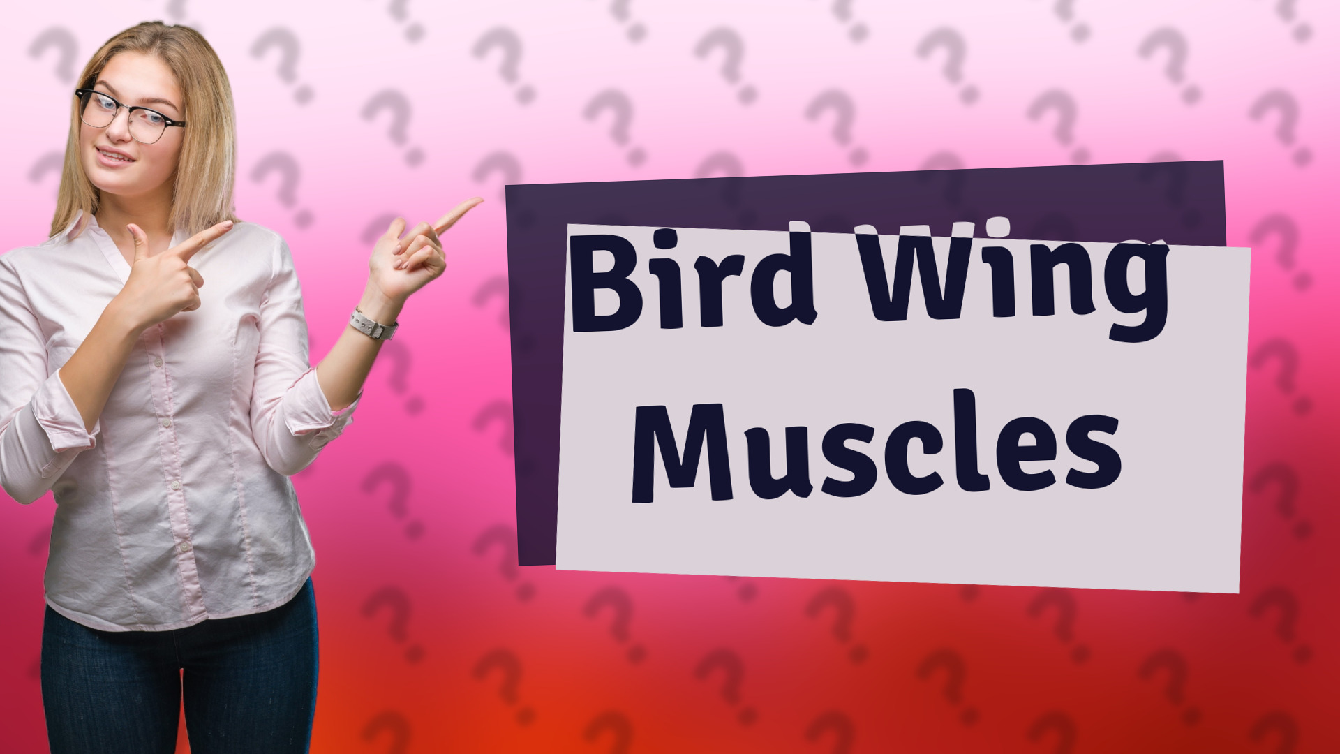 Bird Wing Muscles