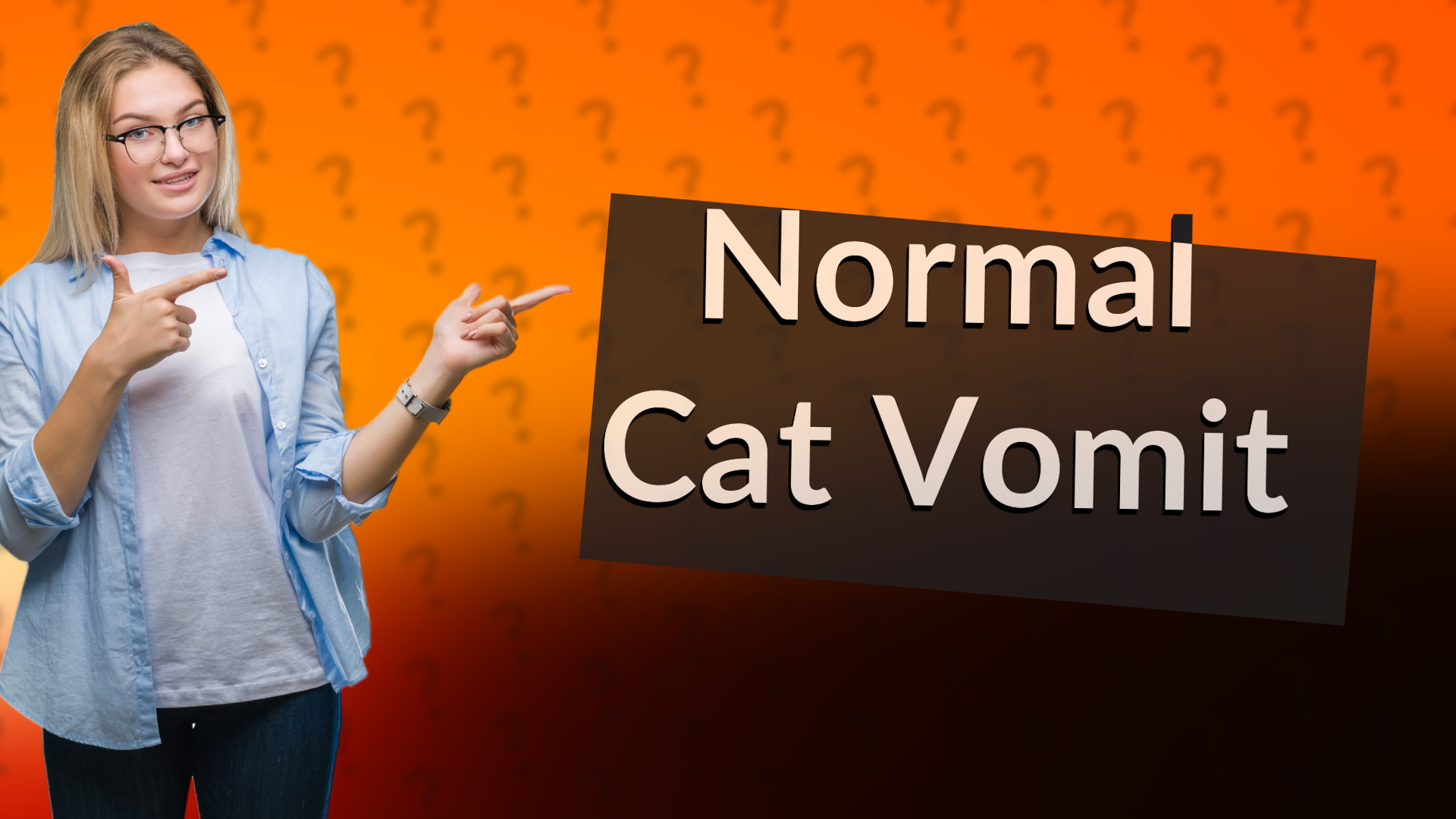 Normal Cat Vomit