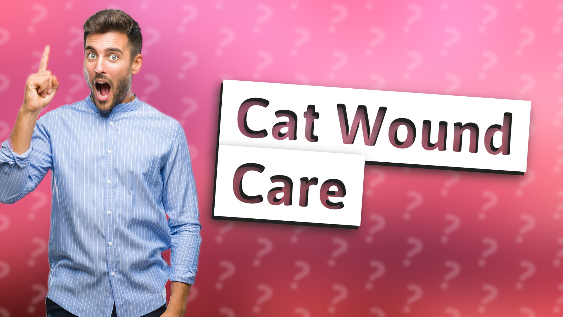 Cat Wound Care