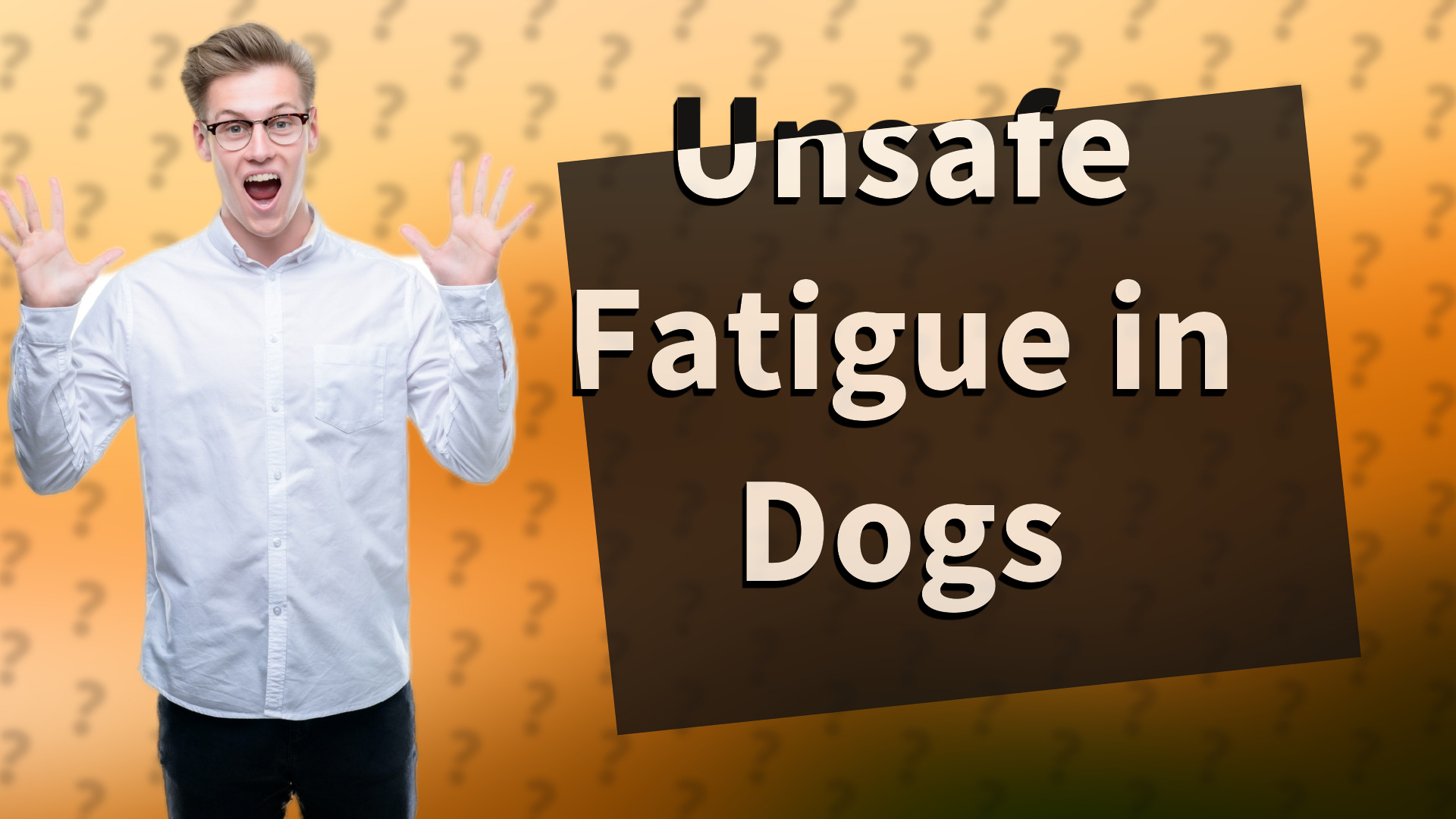 Unsafe Fatigue in Dogs