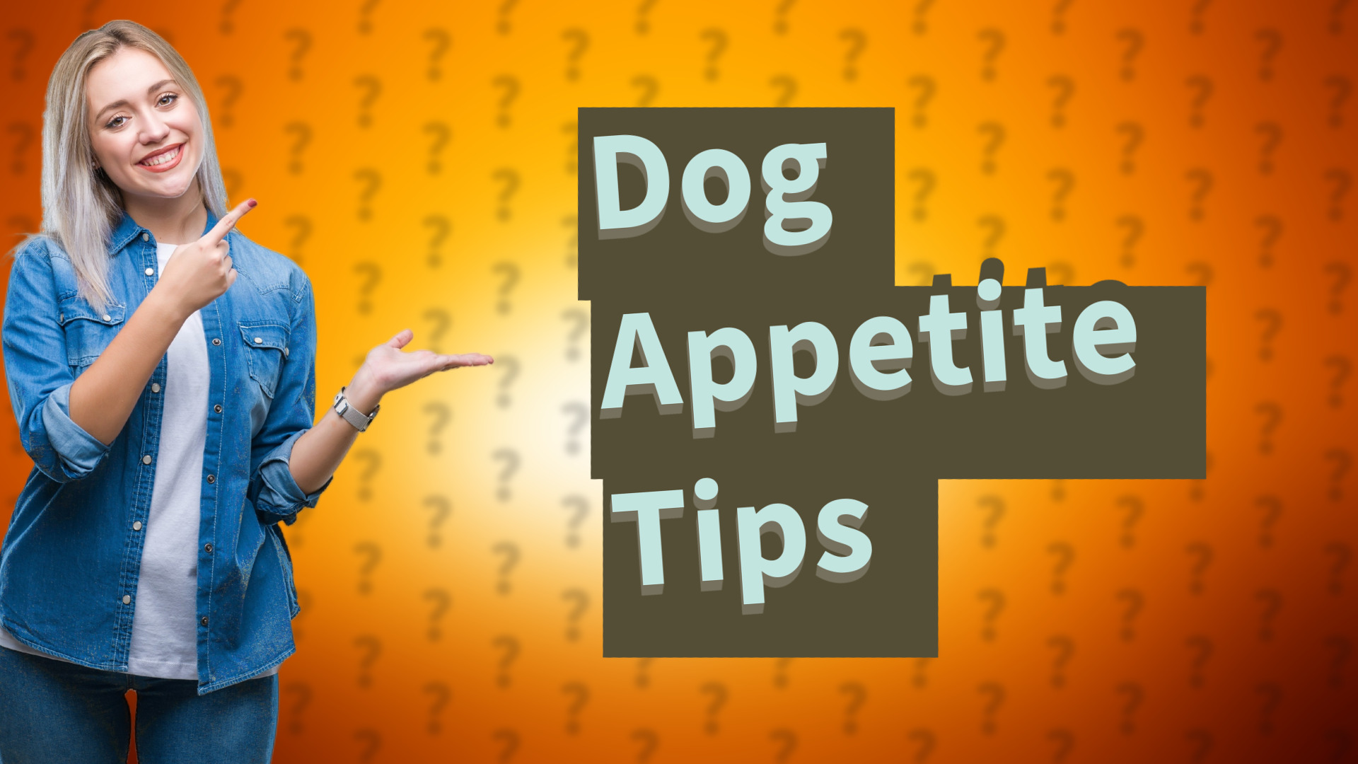 Dog Appetite Tips