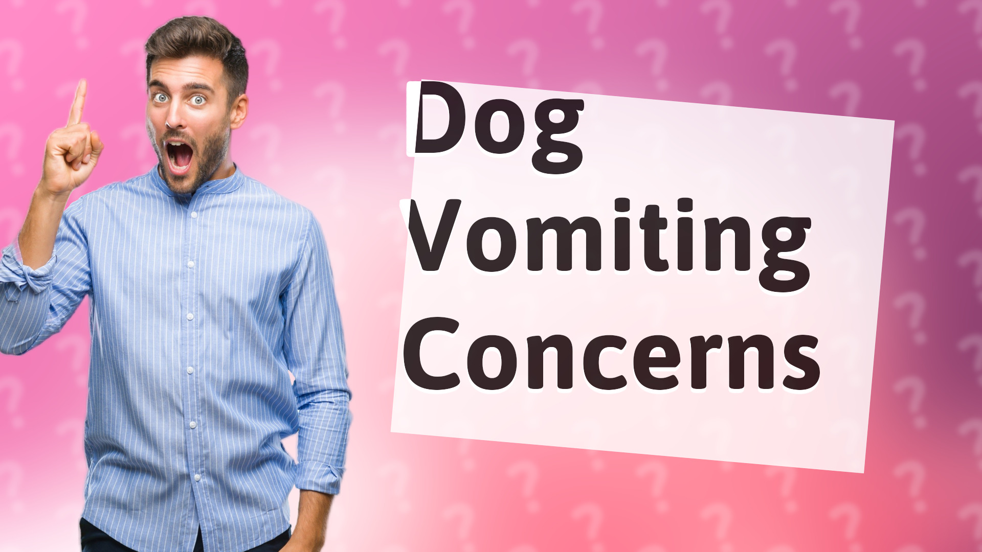 Dog Vomiting Concerns