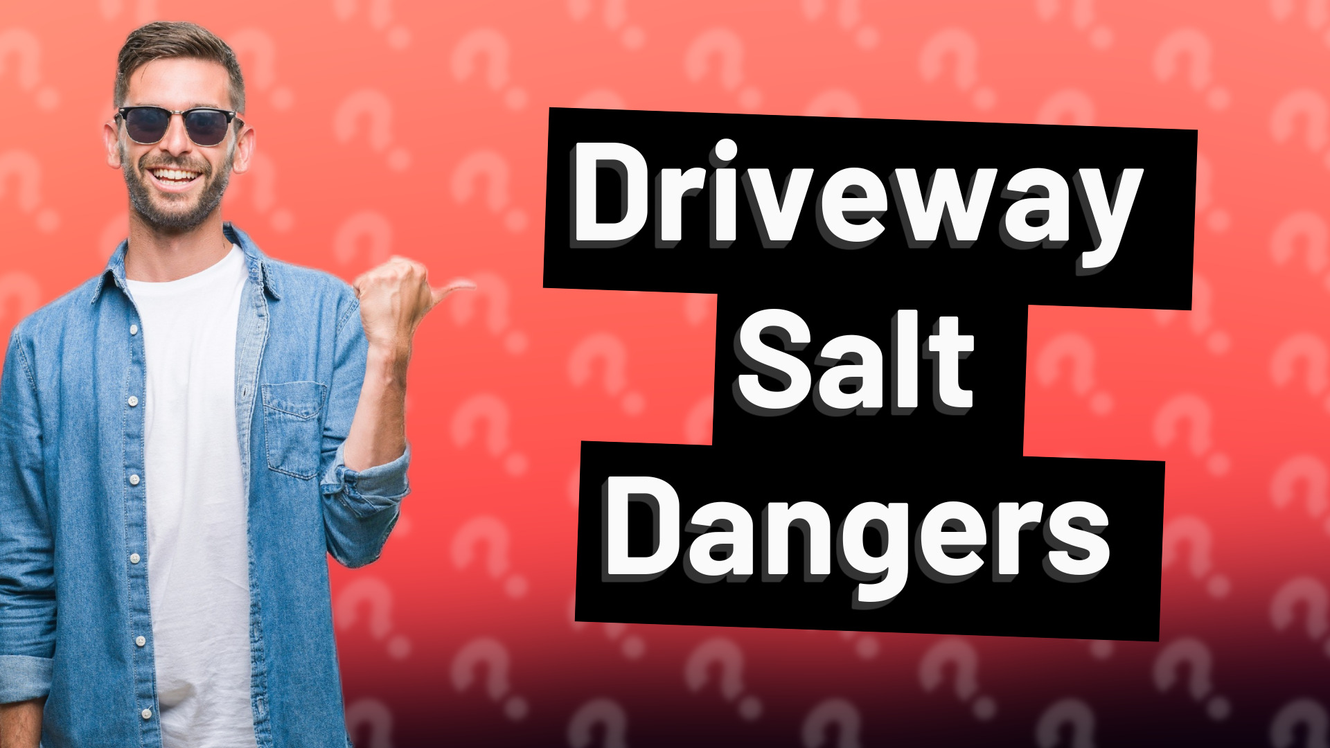 Driveway Salt Dangers