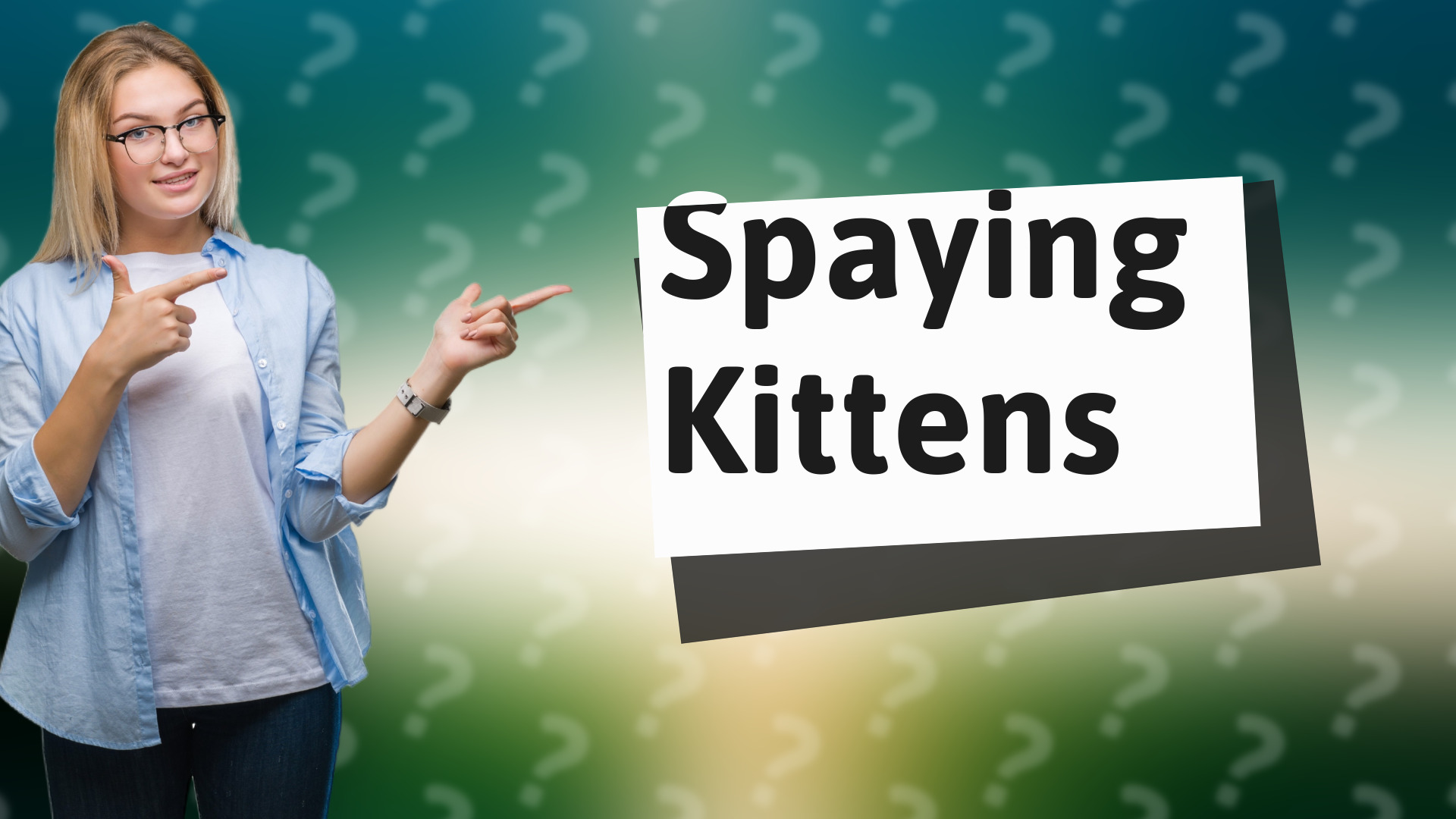 Spaying Kittens