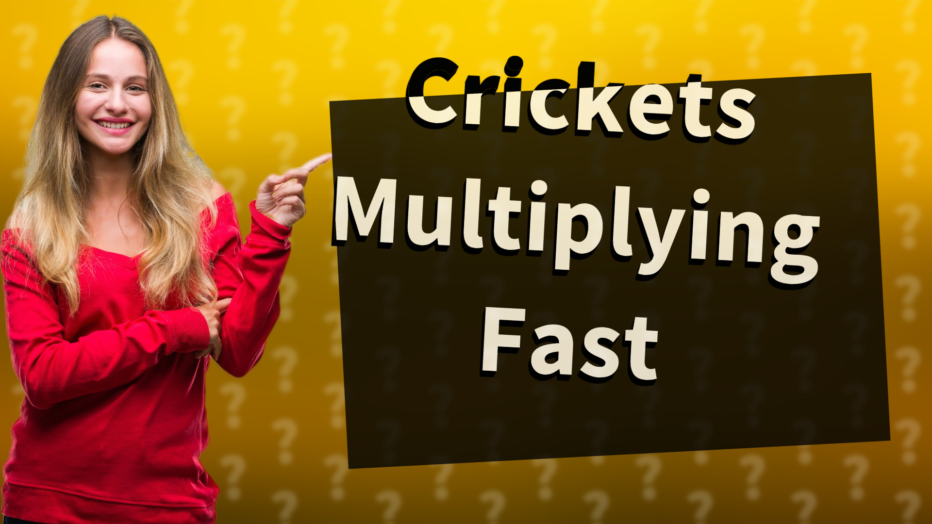 Crickets Multiplying Fast