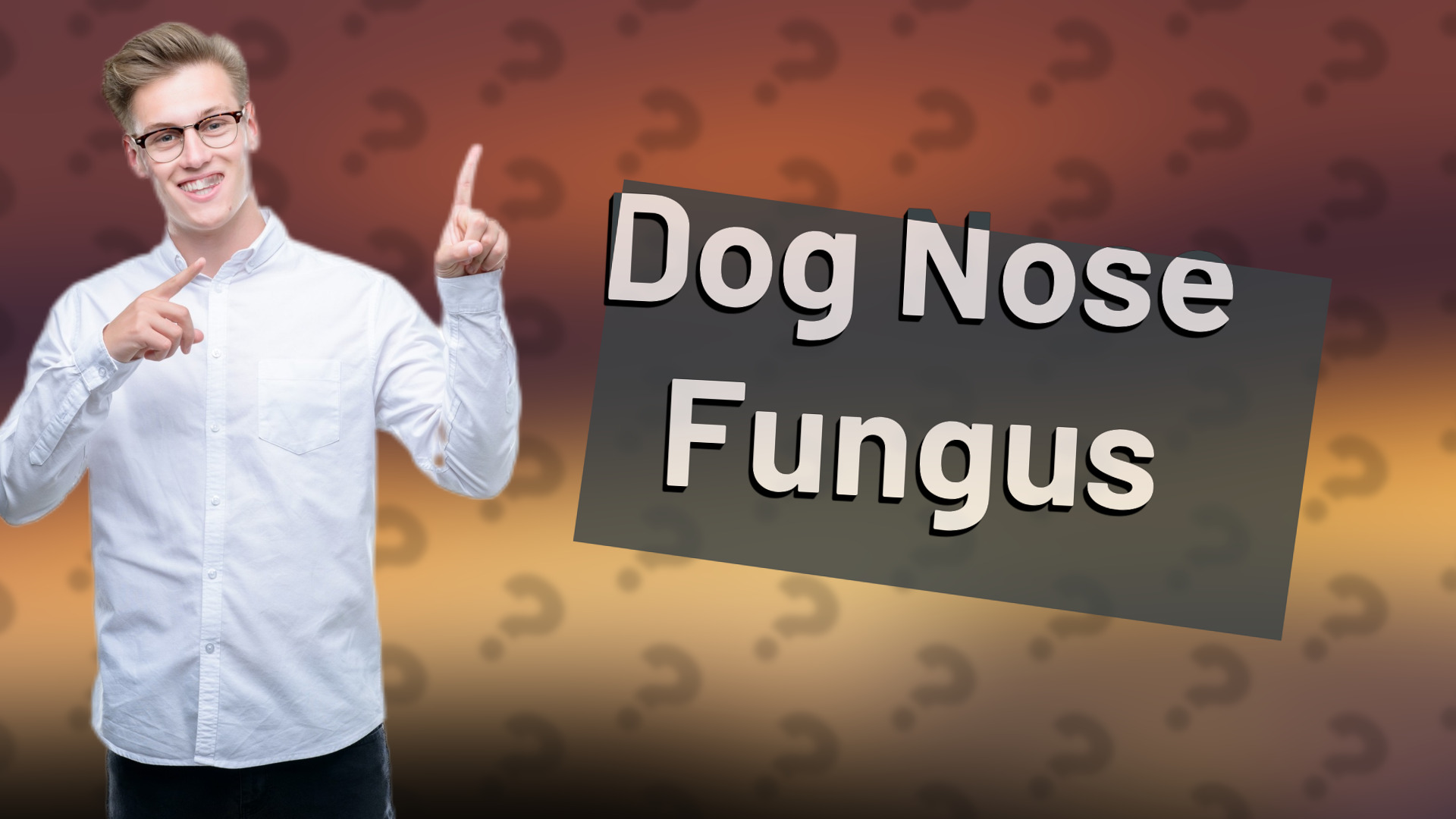 Dog Nose Fungus