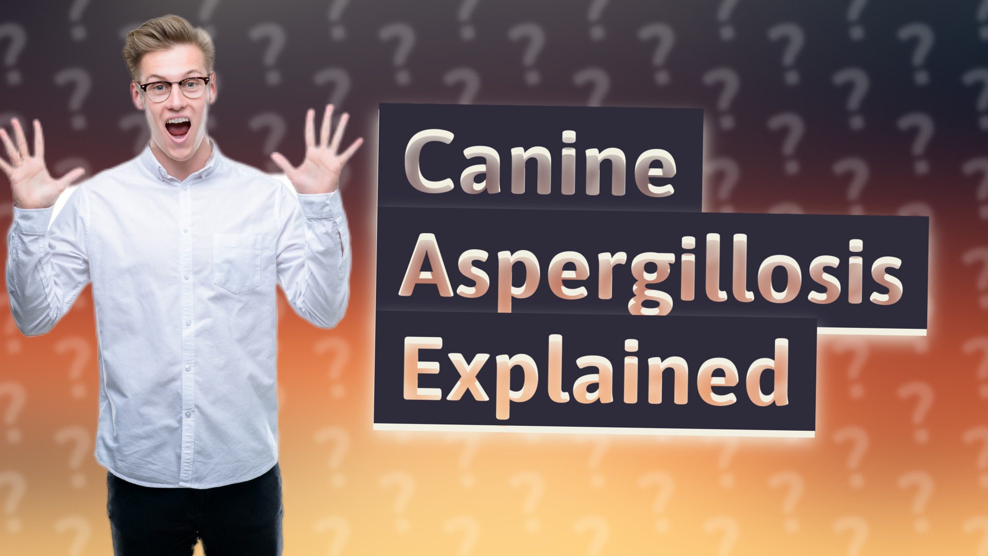Canine Aspergillosis Explained