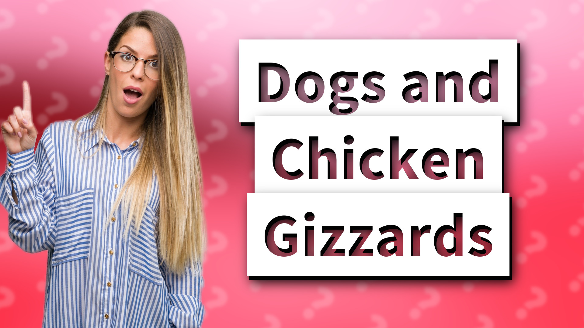 Dogs and Chicken Gizzards