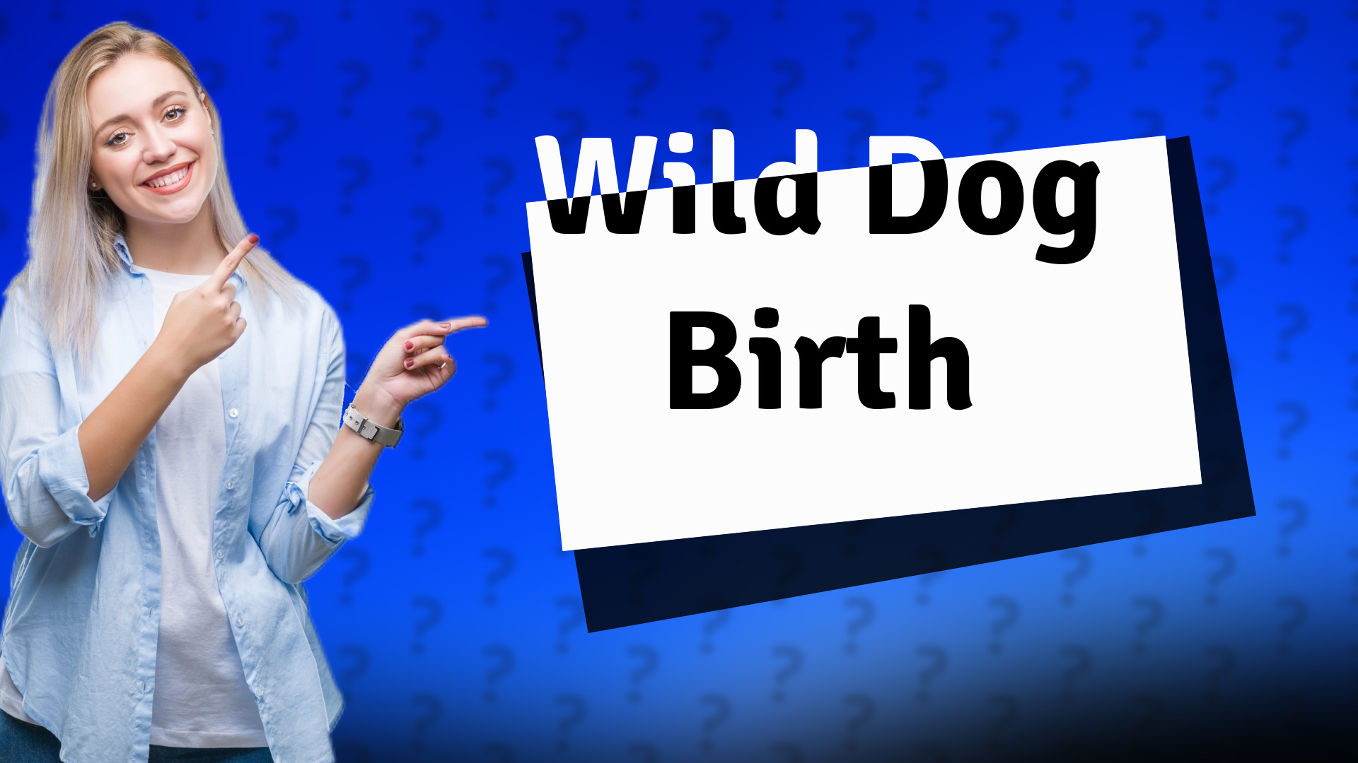 Wild Dog Birth