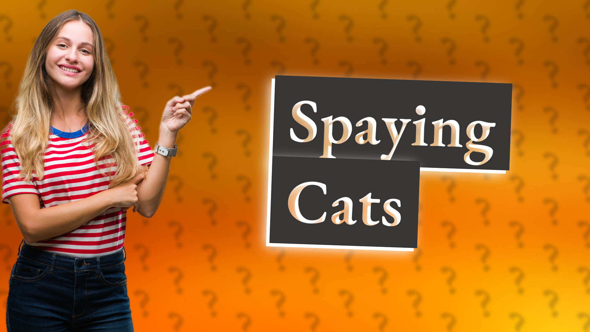 Spaying Cats