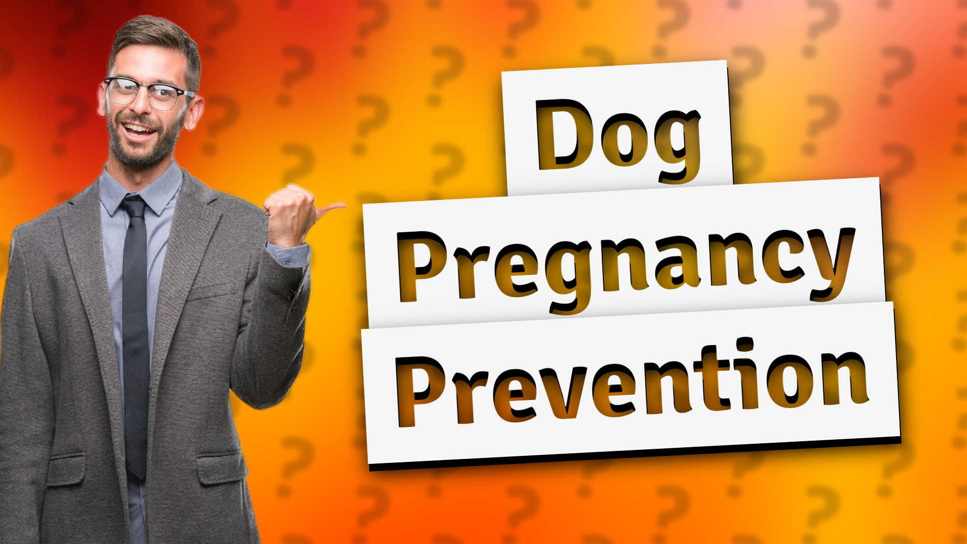 Dog Pregnancy Prevention