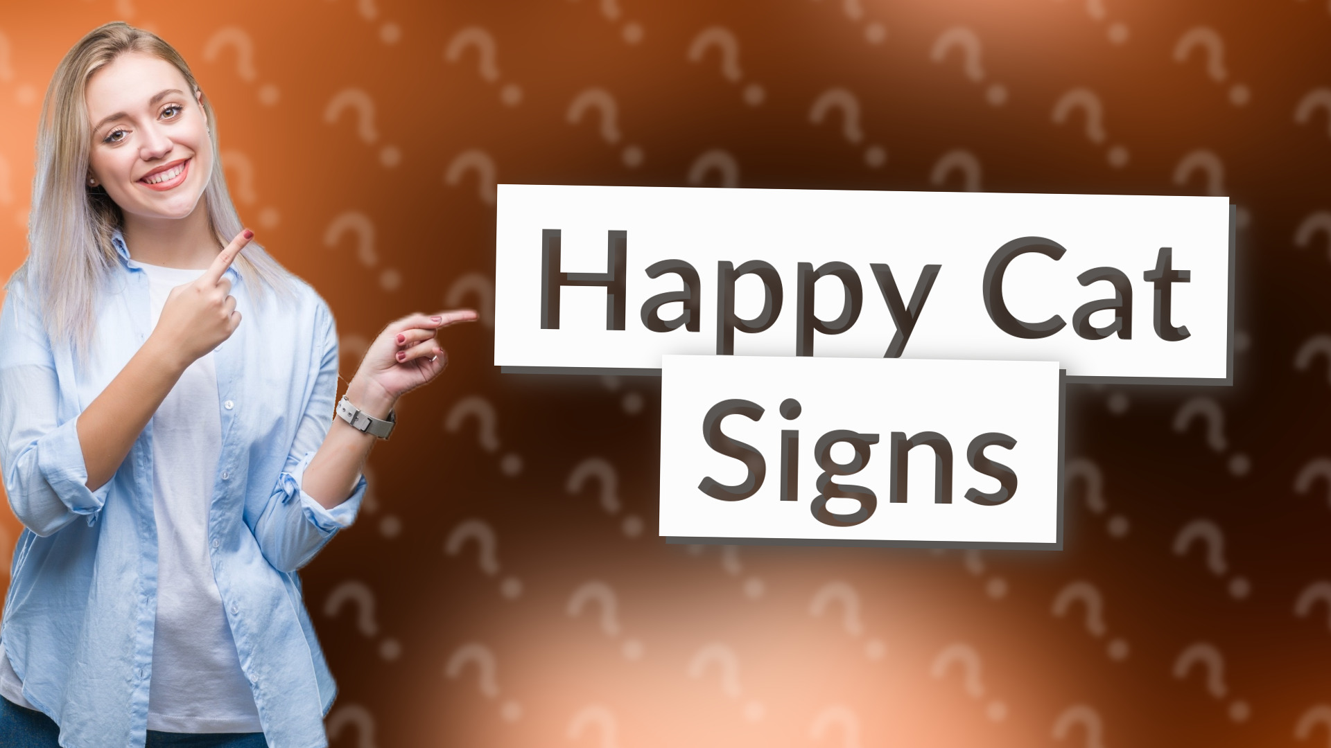 Happy Cat Signs