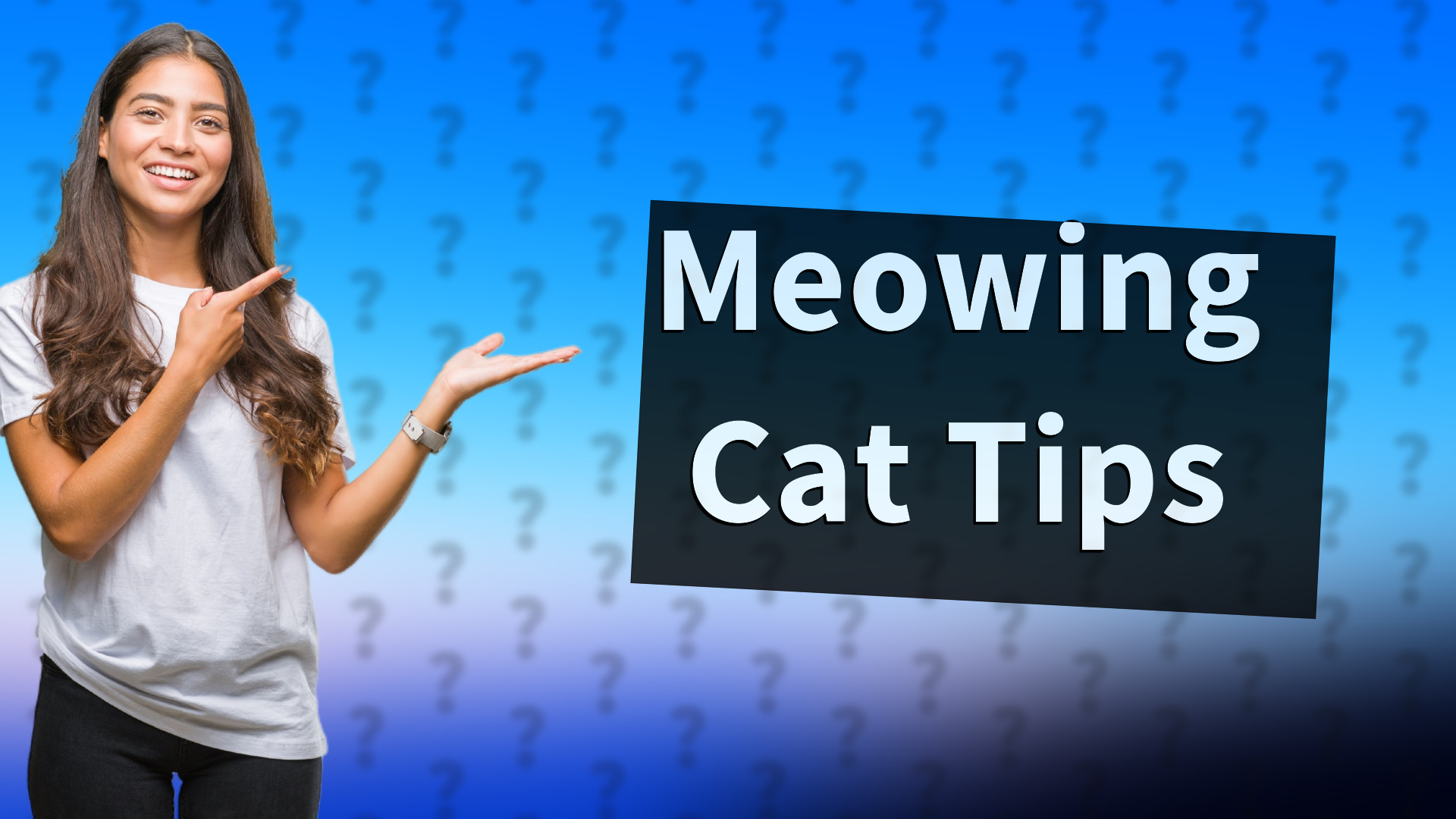 Meowing Cat Tips