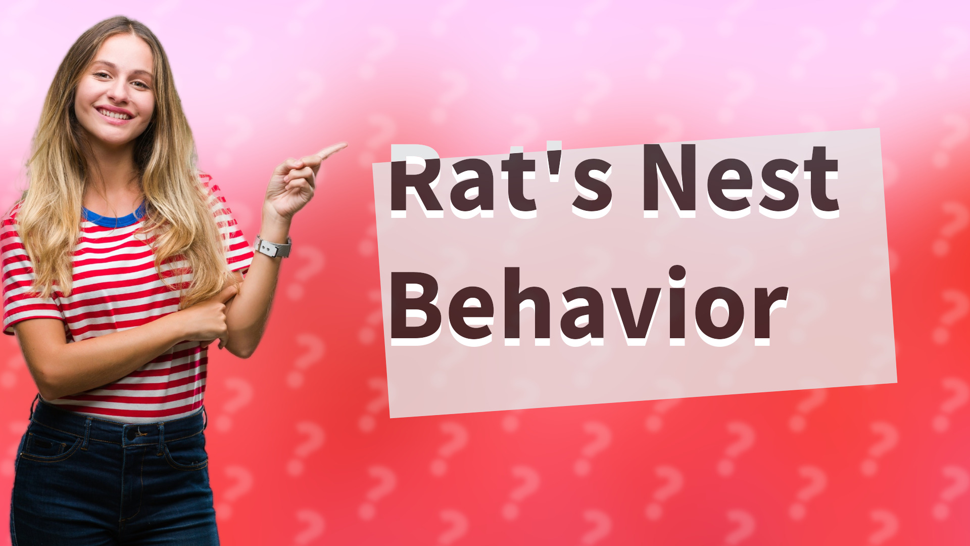 Rat's Nest Behavior