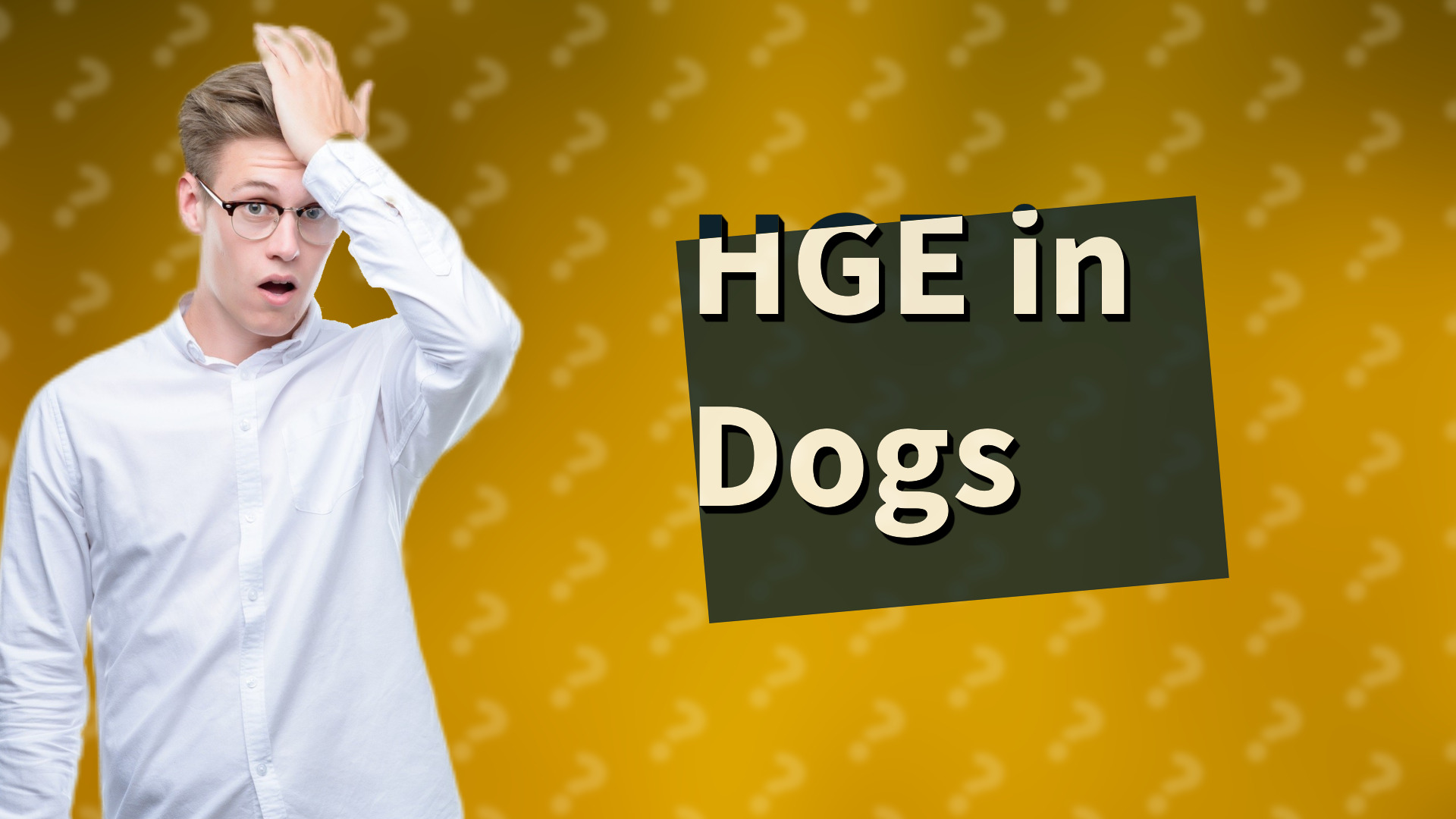 HGE in Dogs