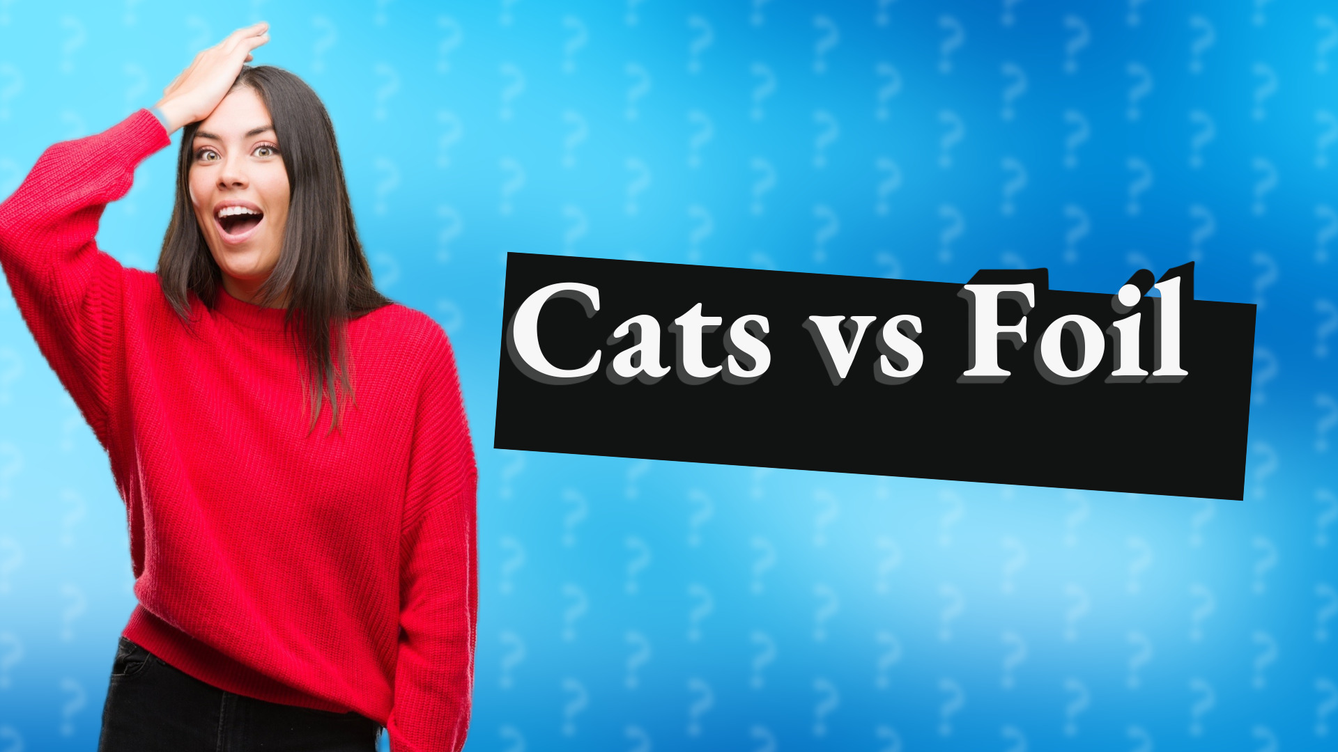 Cats vs Foil