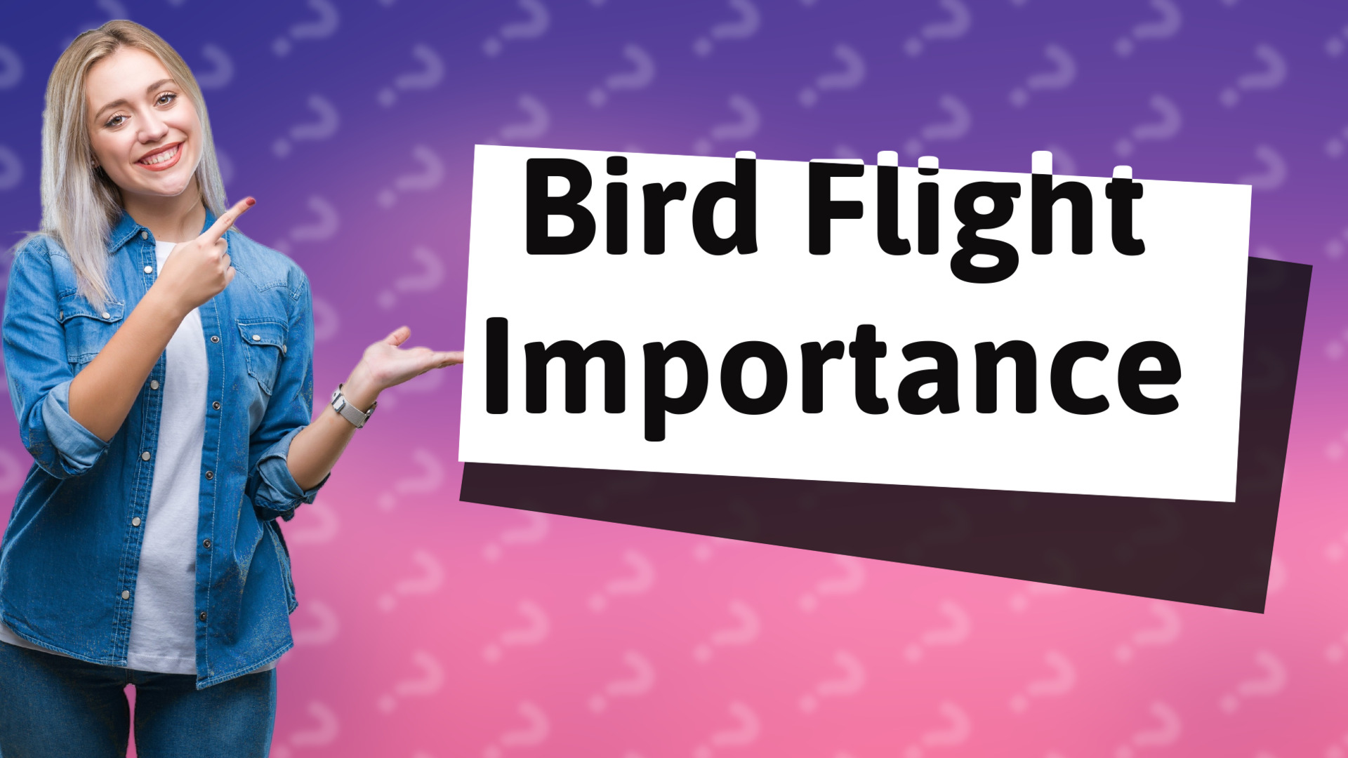 Bird Flight Importance