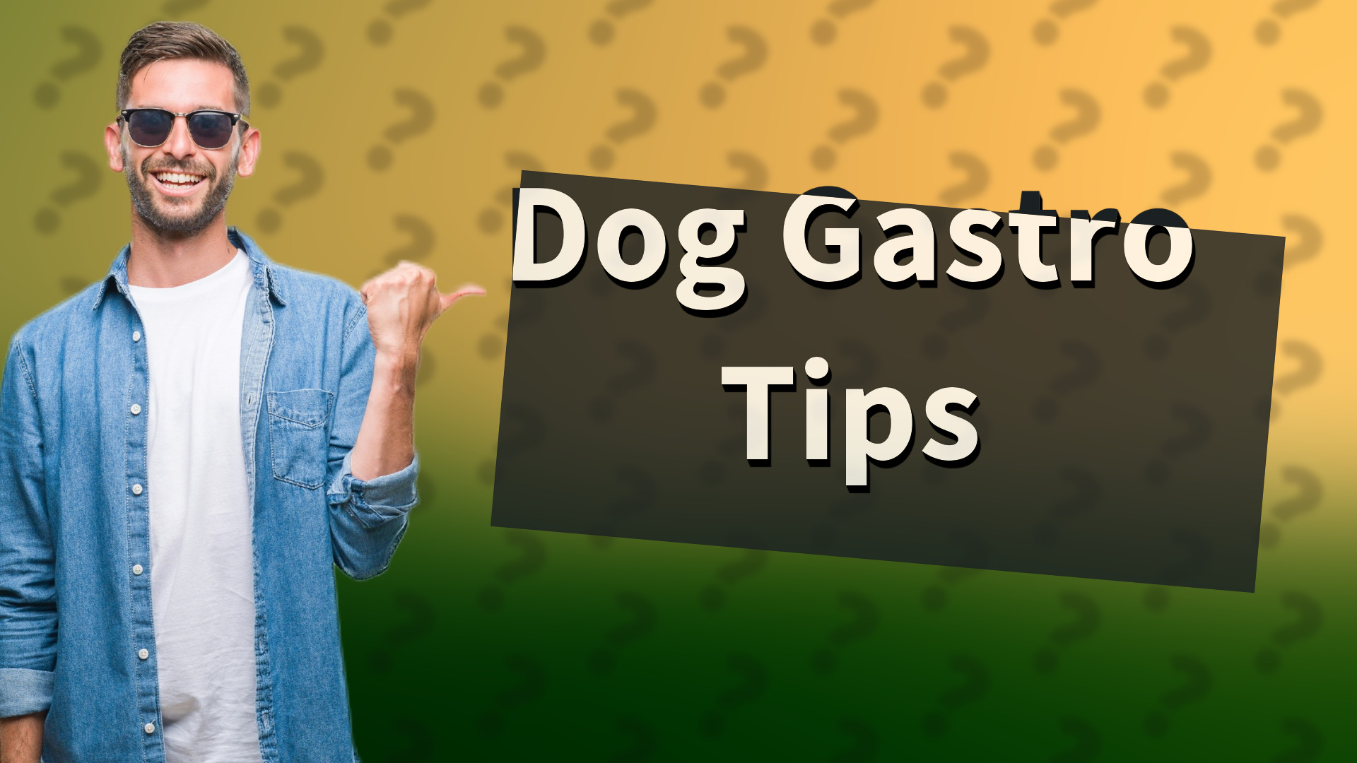 Dog Gastro Tips