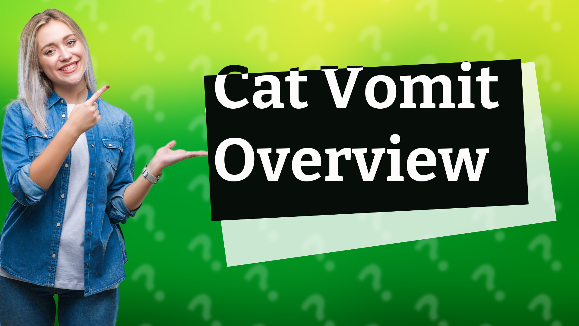 Cat Vomit Overview