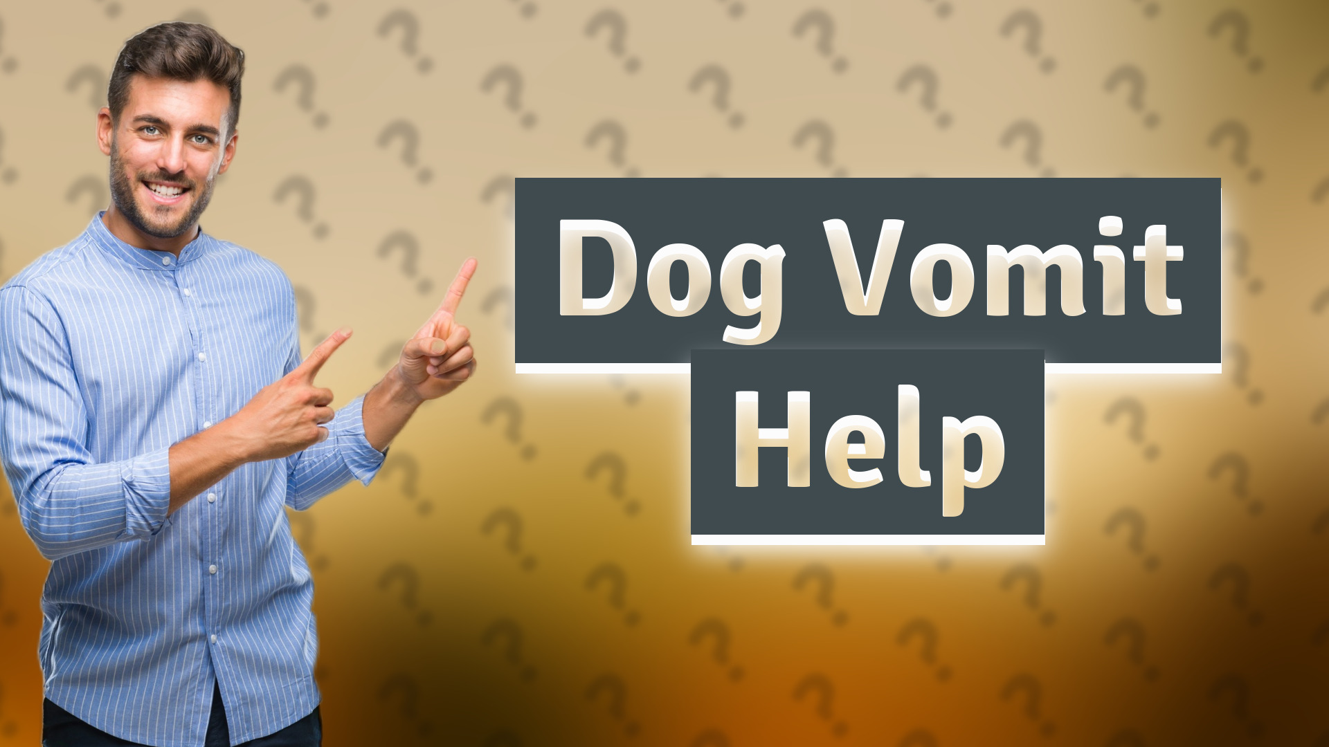 Dog Vomit Help