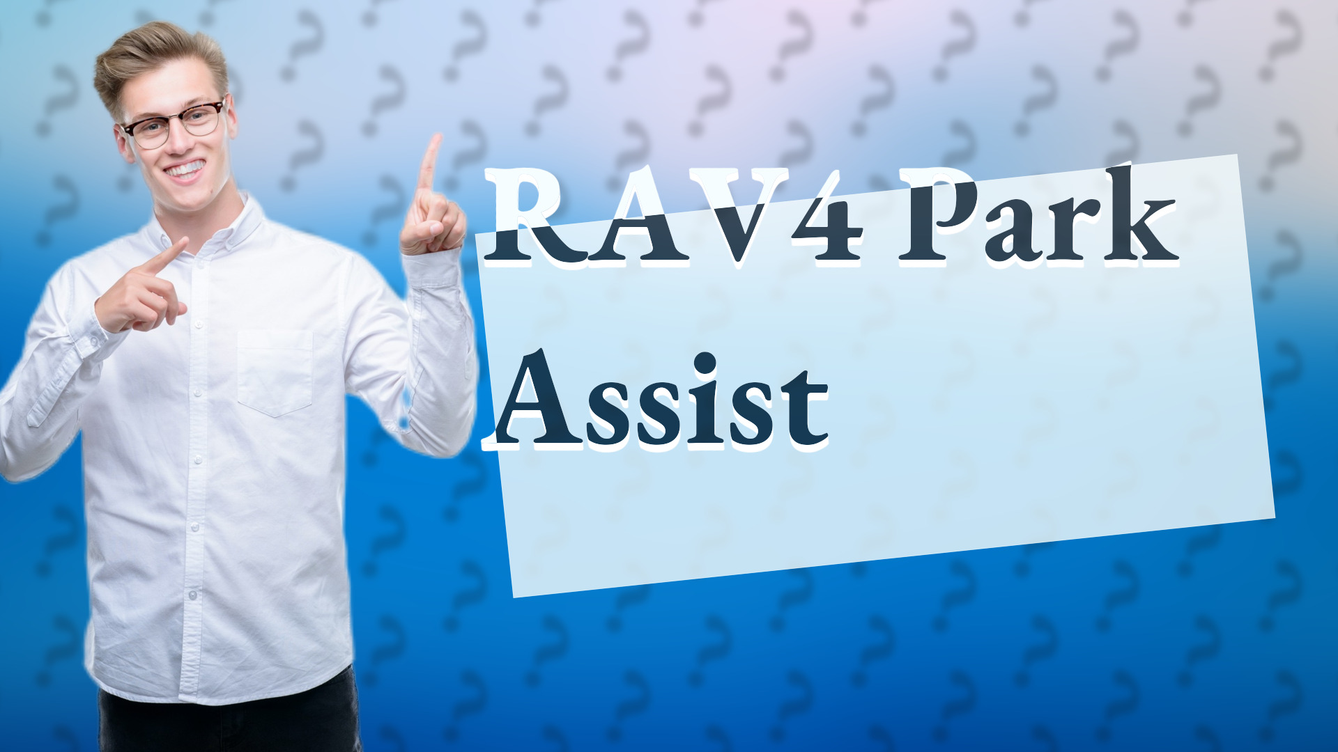 RAV4 Park Assist