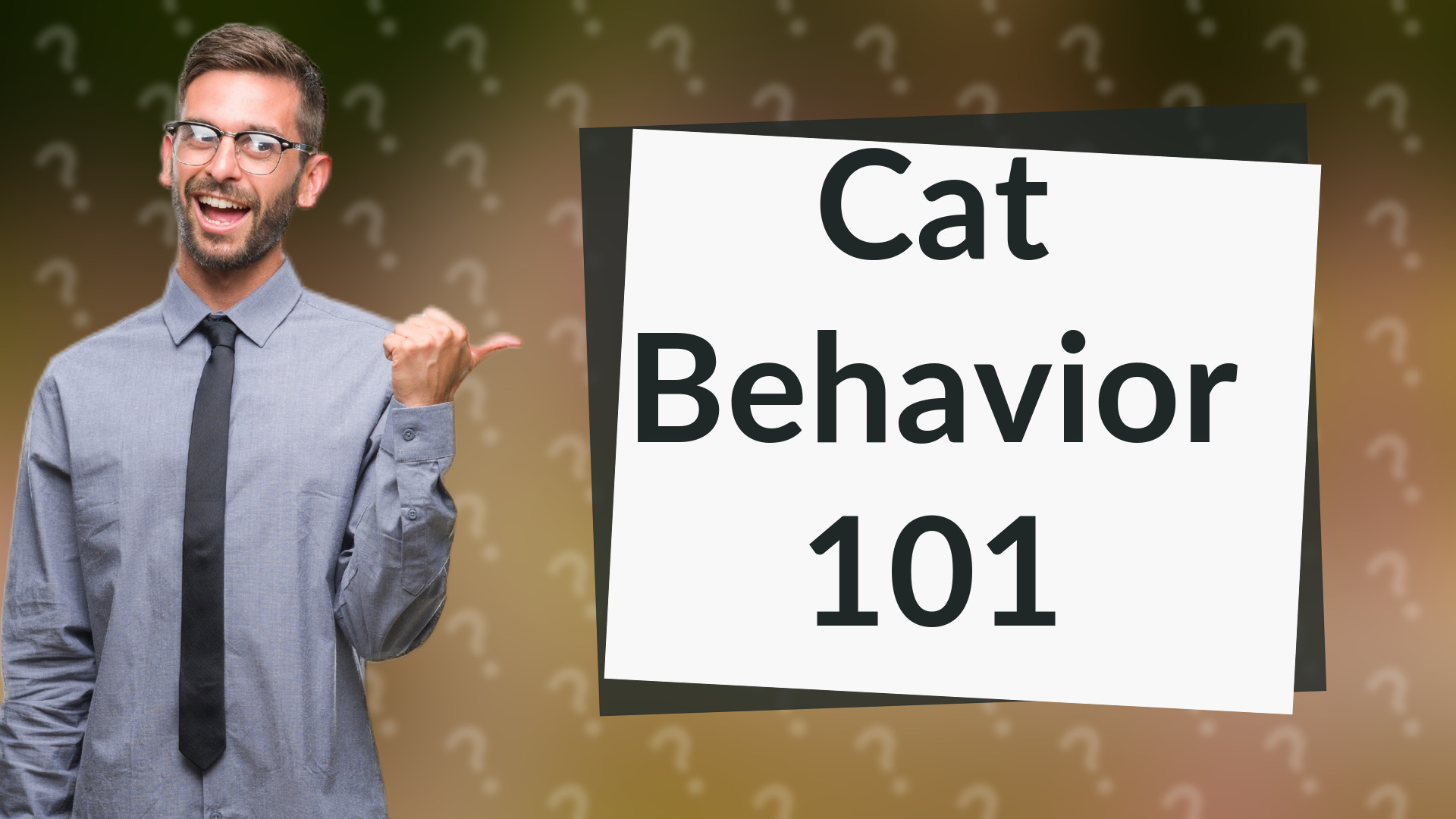 Cat Behavior 101