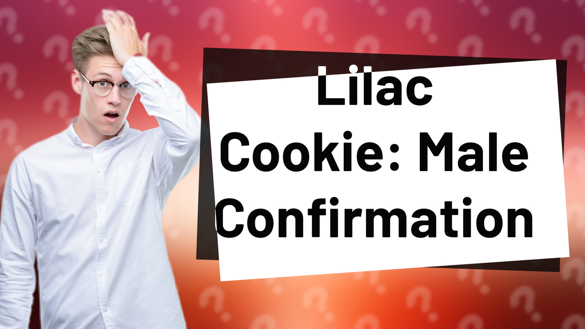 Lilac Cookie: Male Confirmation