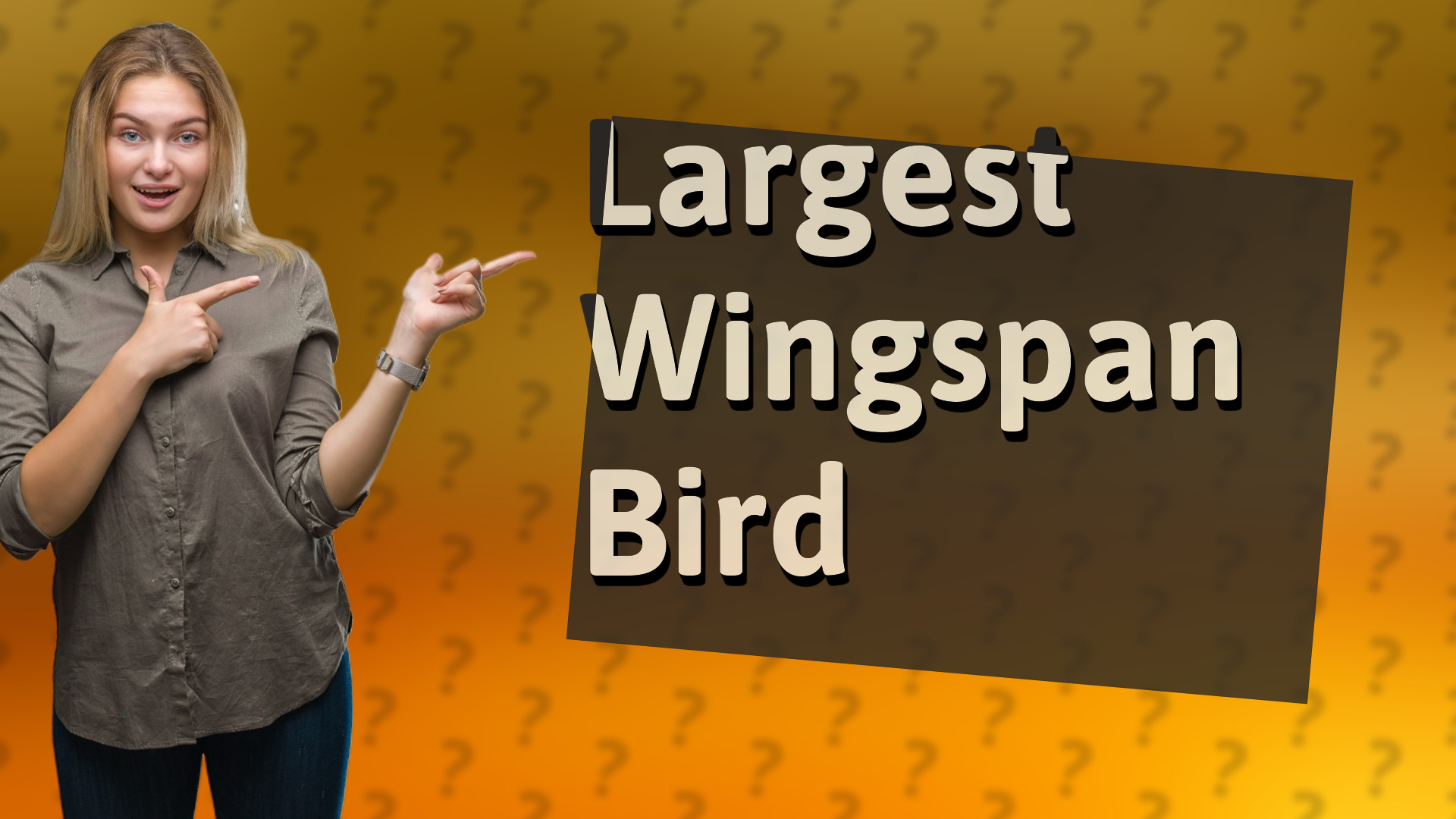 Largest Wingspan Bird