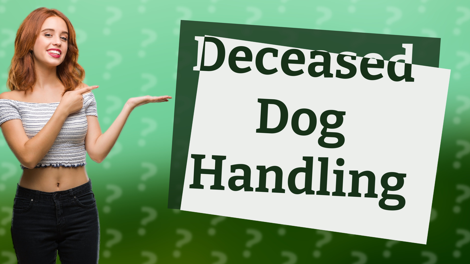 Deceased Dog Handling