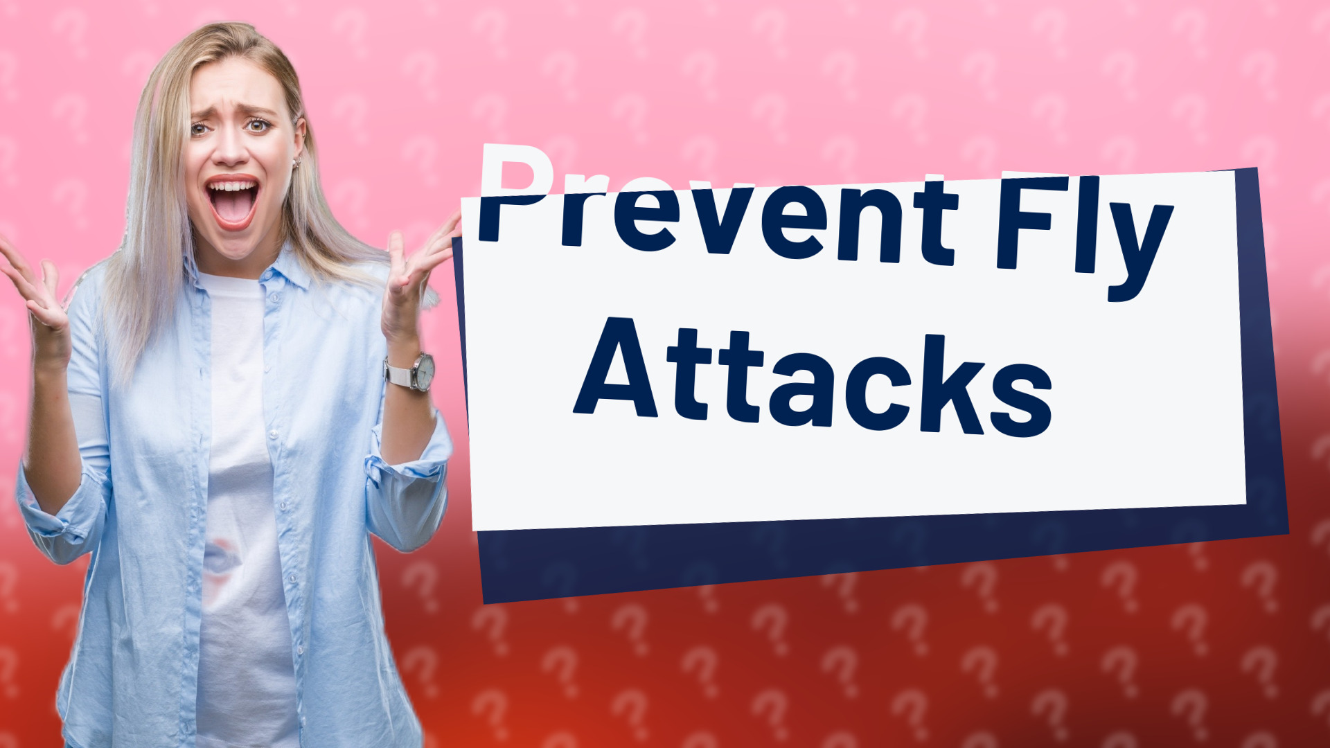 Prevent Fly Attacks