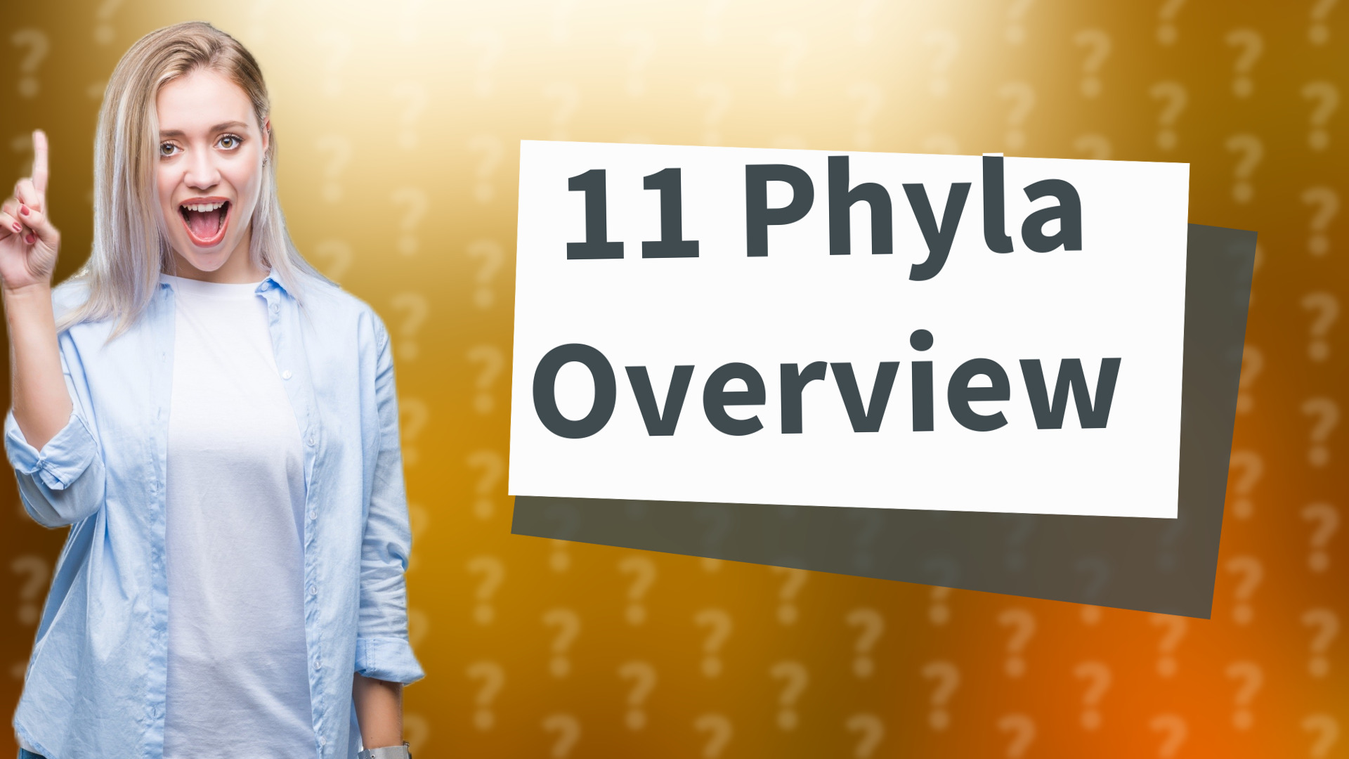 11 Phyla Overview