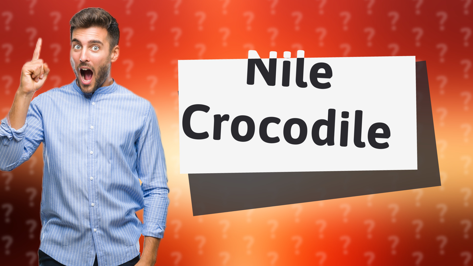 Nile Crocodile