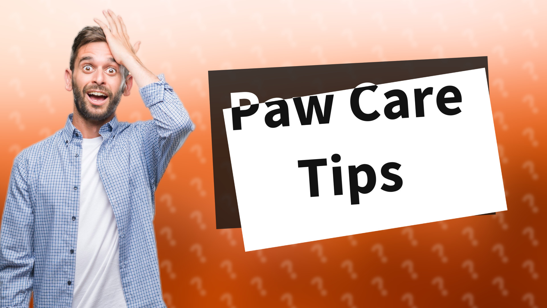 Paw Care Tips