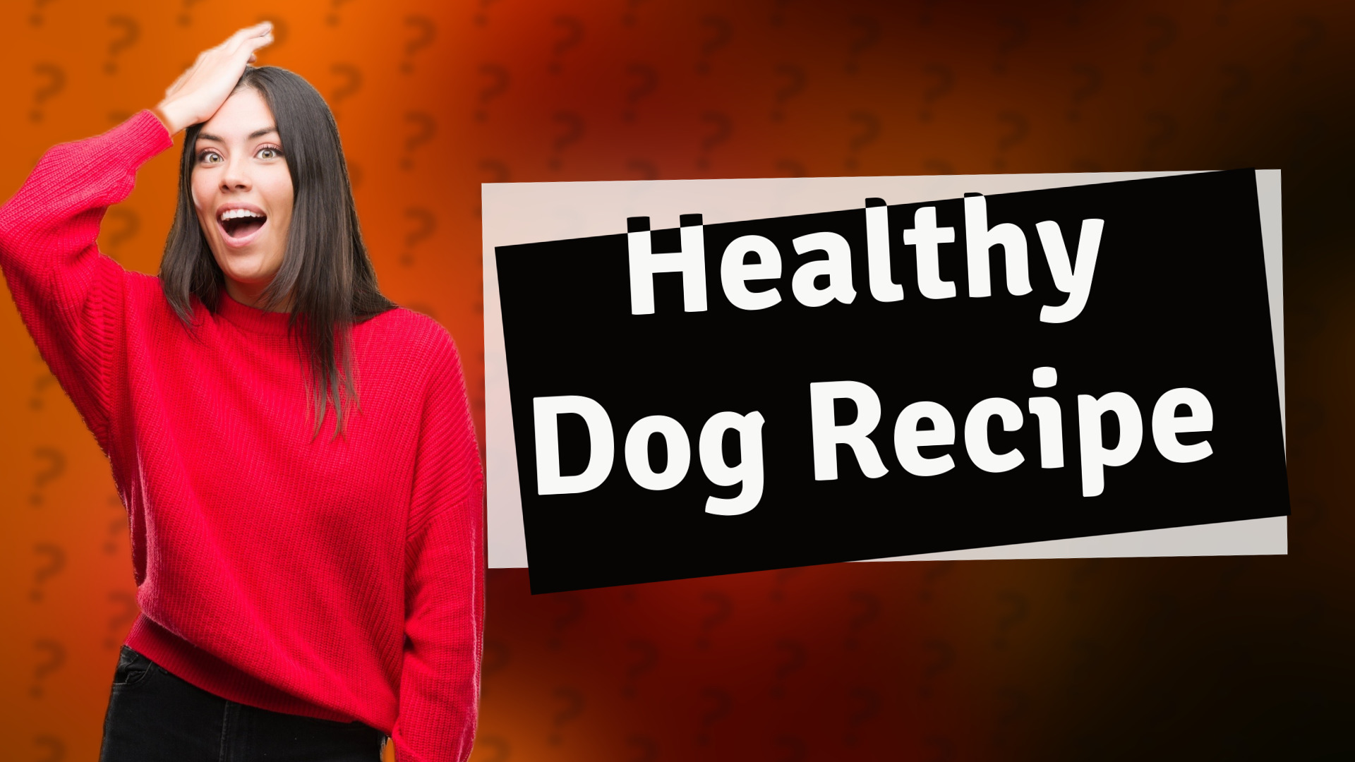Healthy Dog Recipe