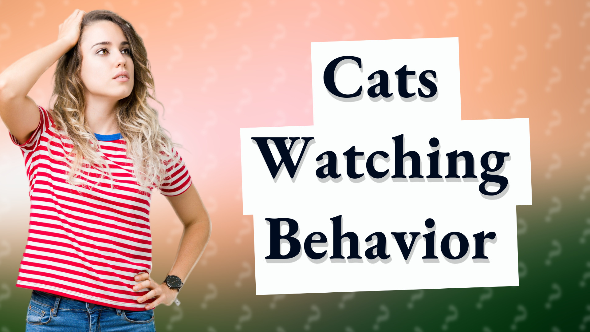 Cats Watching Behavior