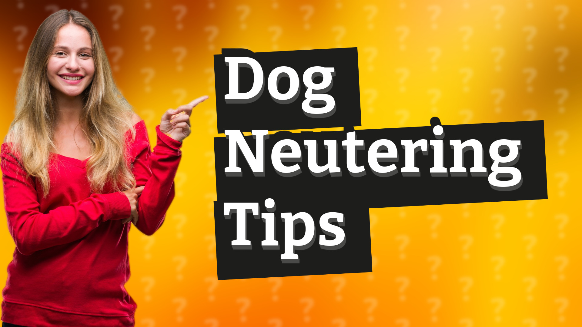 Dog Neutering Tips