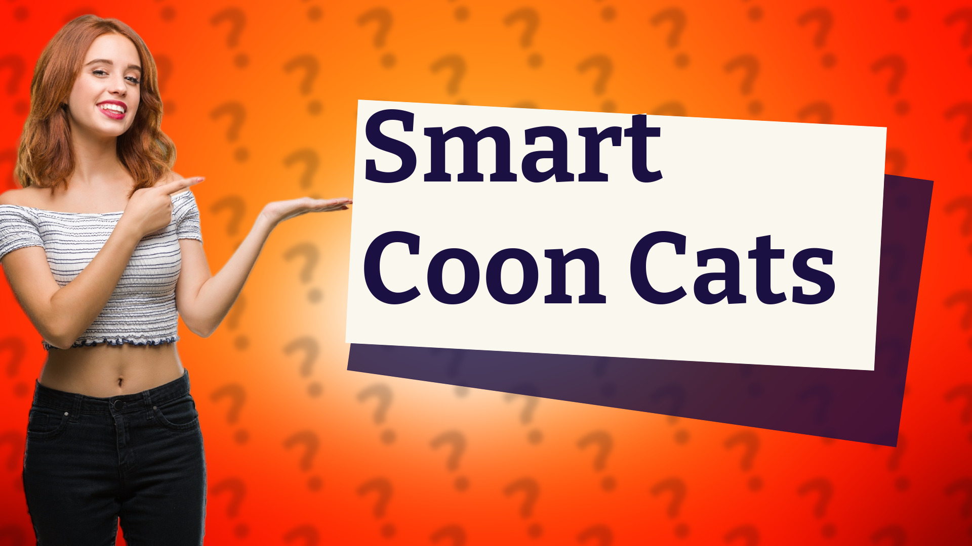 Smart Coon Cats