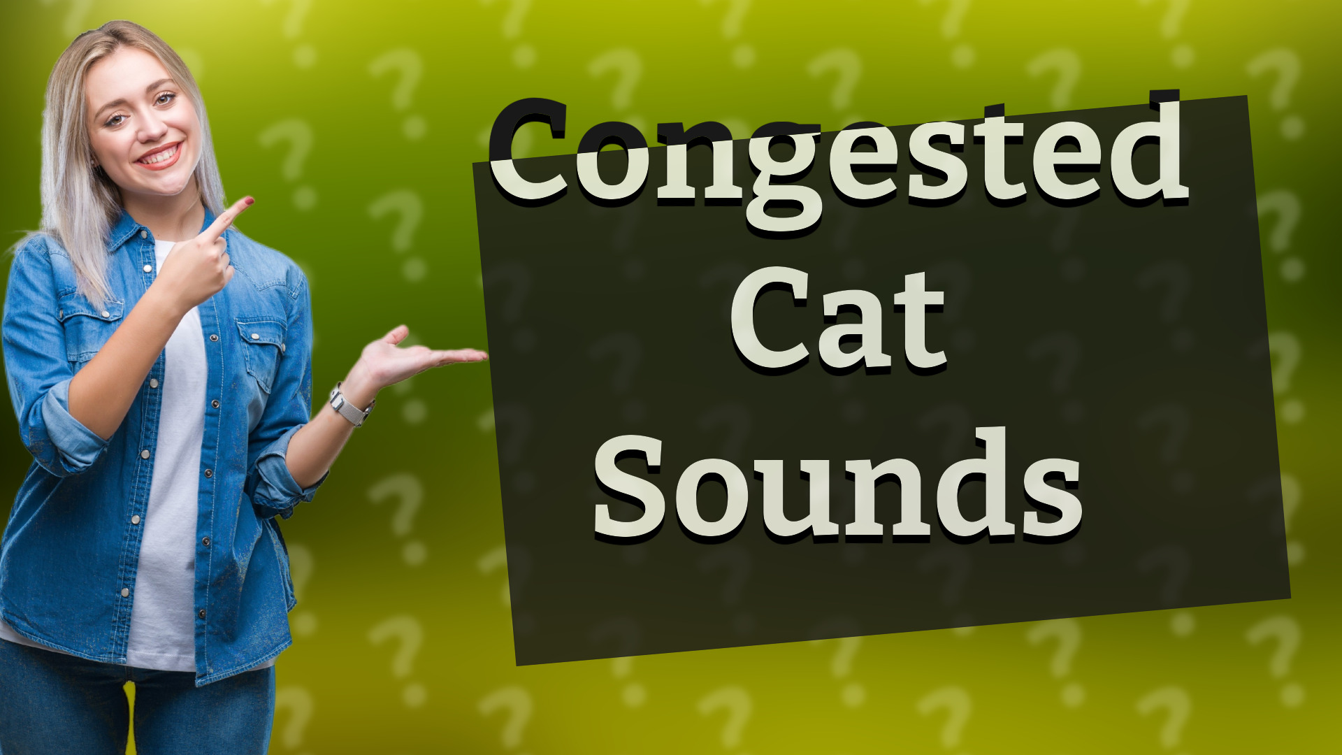 Congested Cat Sounds