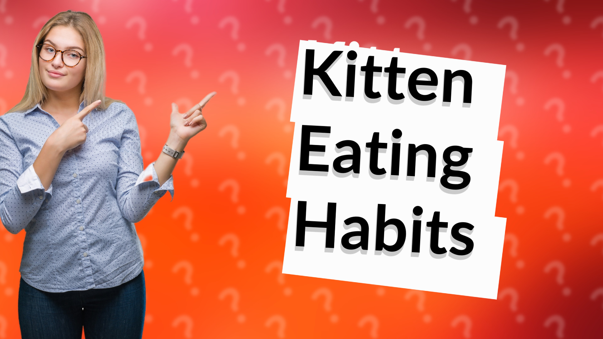 Kitten Eating Habits