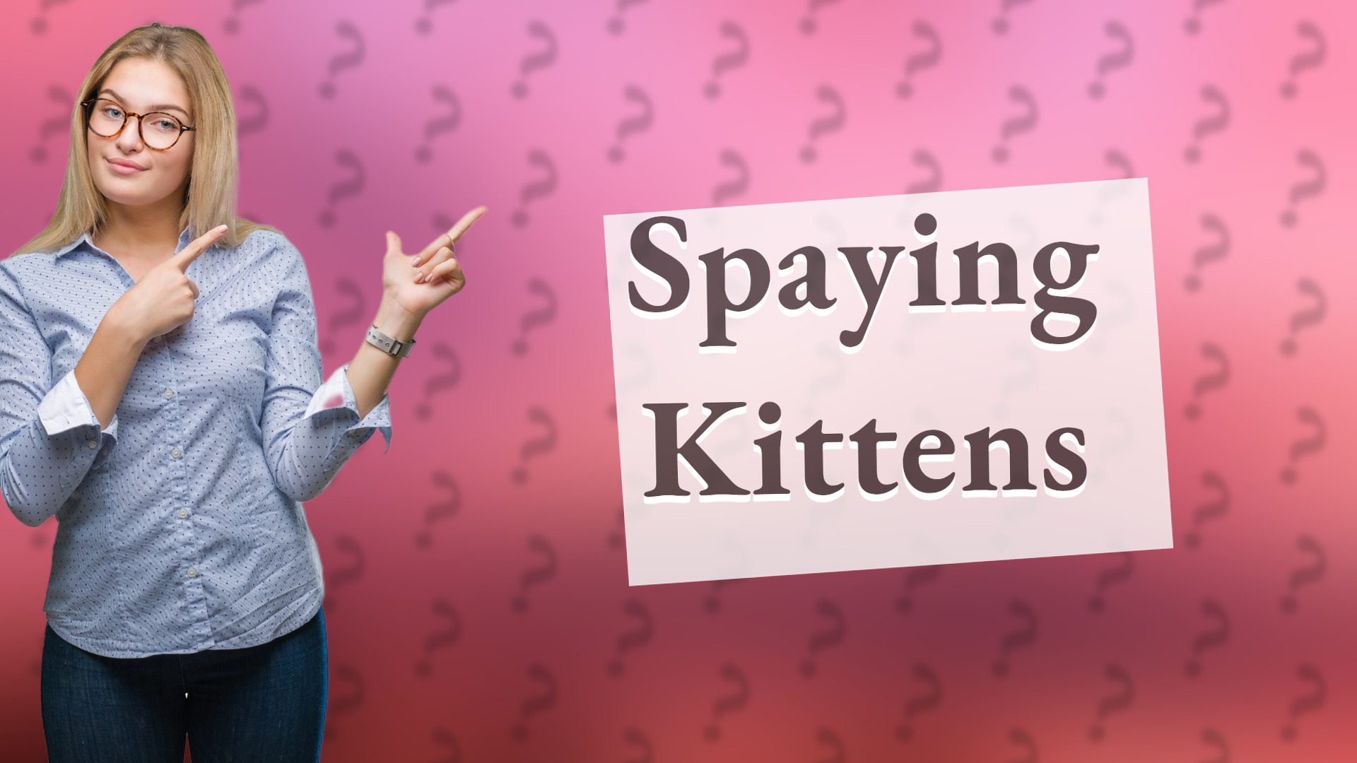 Spaying Kittens