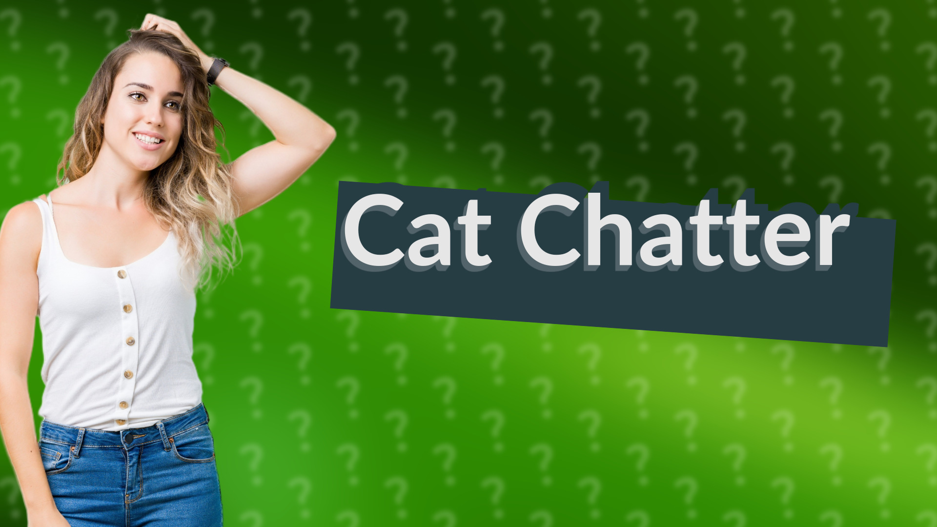Cat Chatter