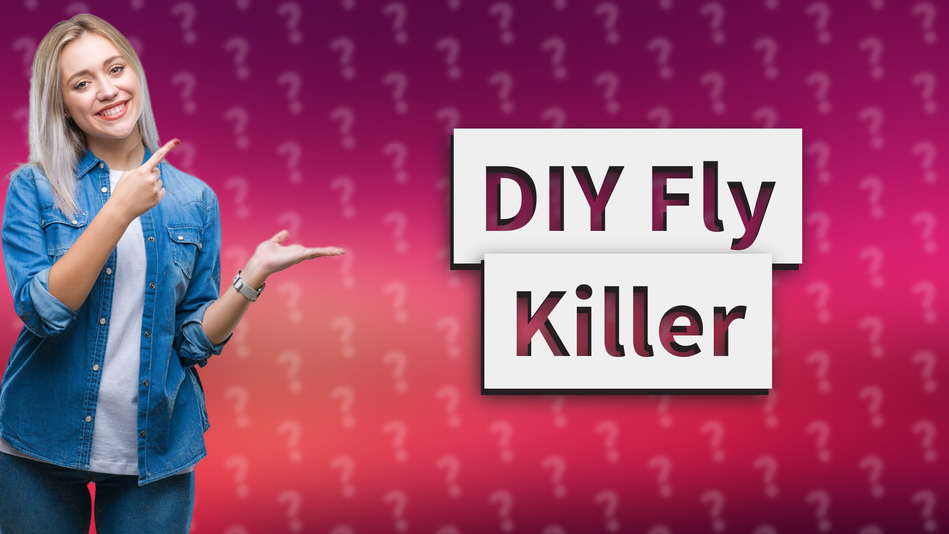 DIY Fly Killer