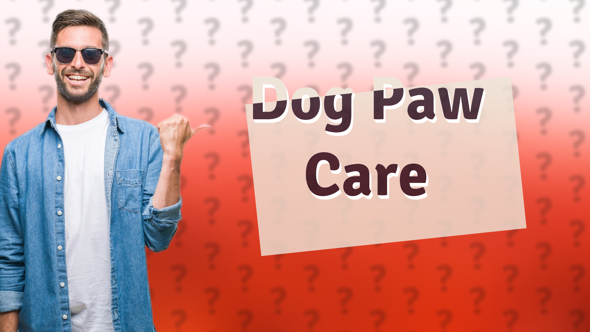 Dog Paw Care