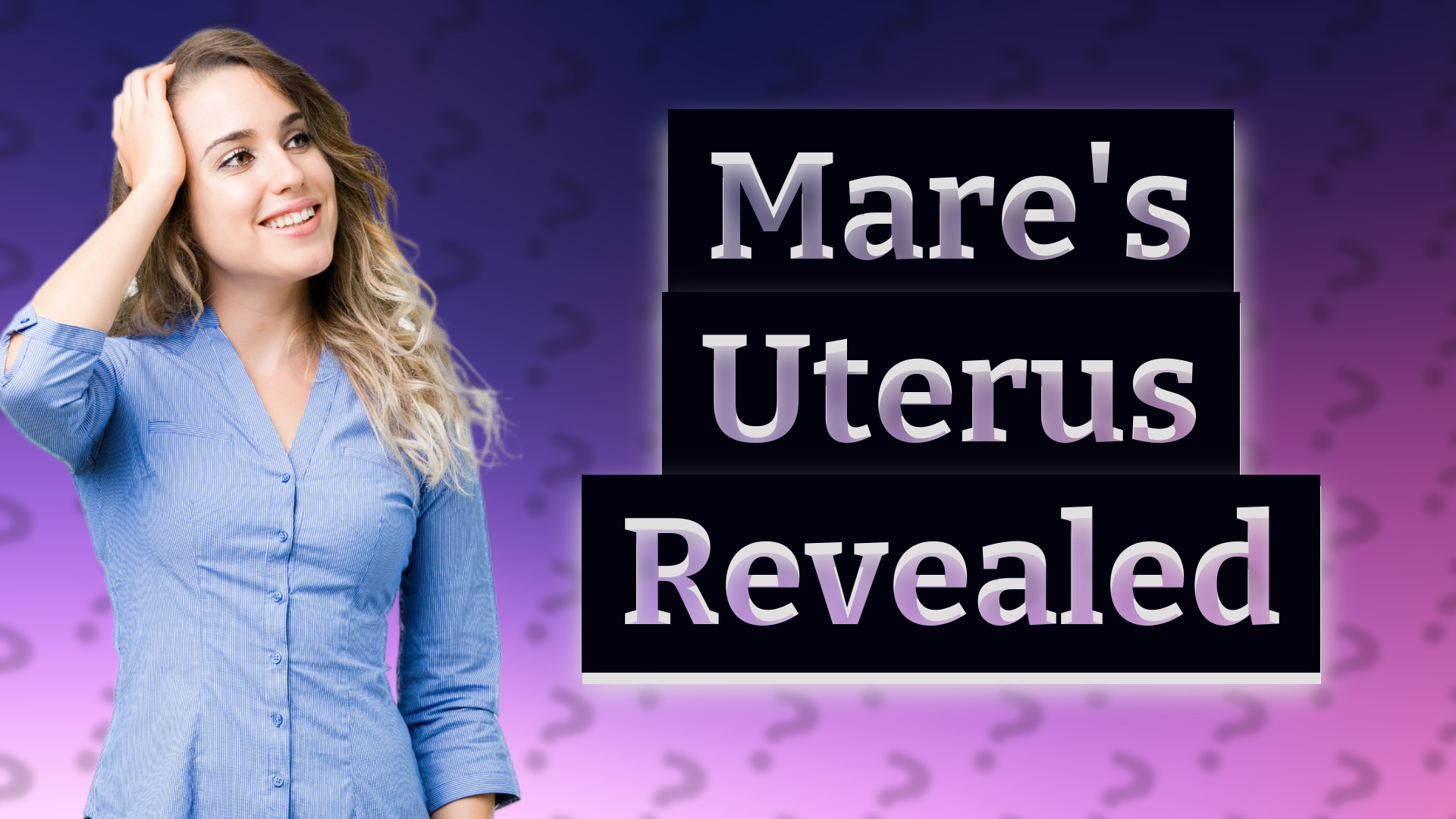 Mare's Uterus Revealed