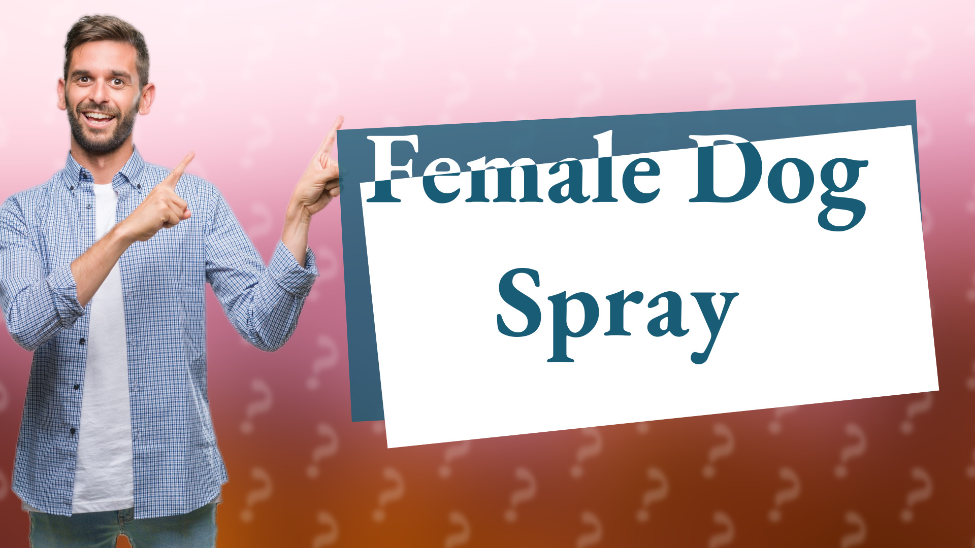 Female Dog Spray