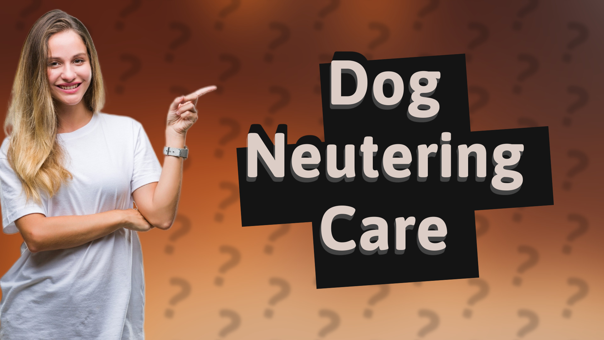 Dog Neutering Care