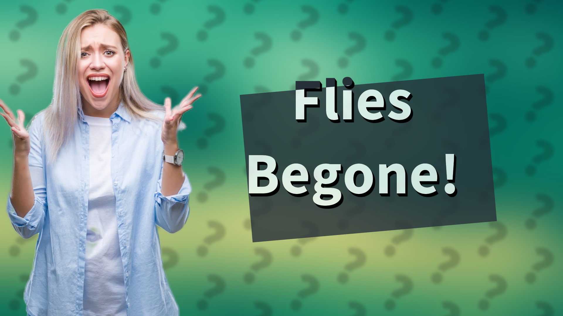 Flies Begone!