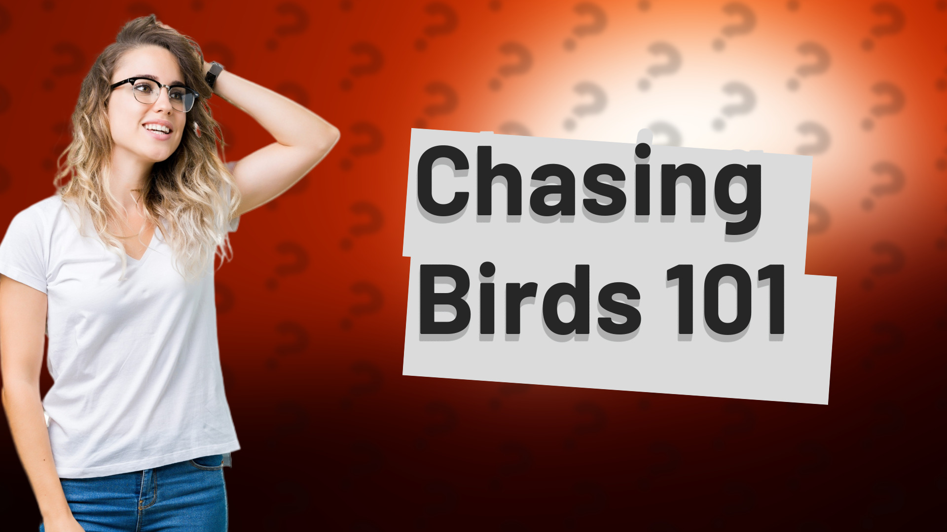 Chasing Birds 101